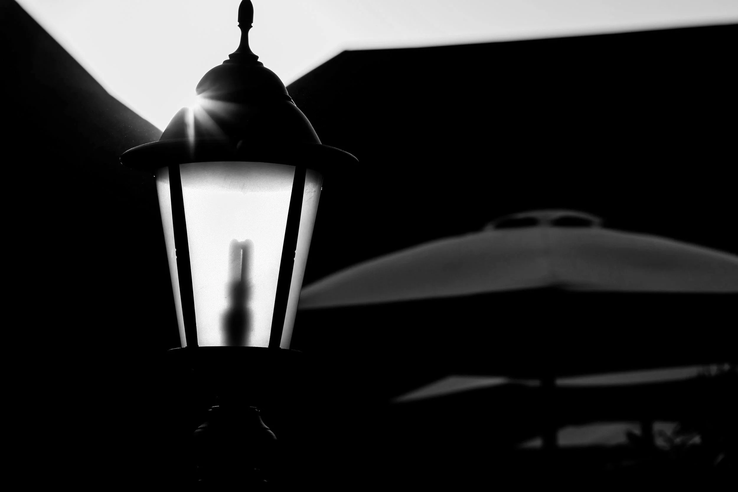 7. | Illusions and reality of the war against Corona