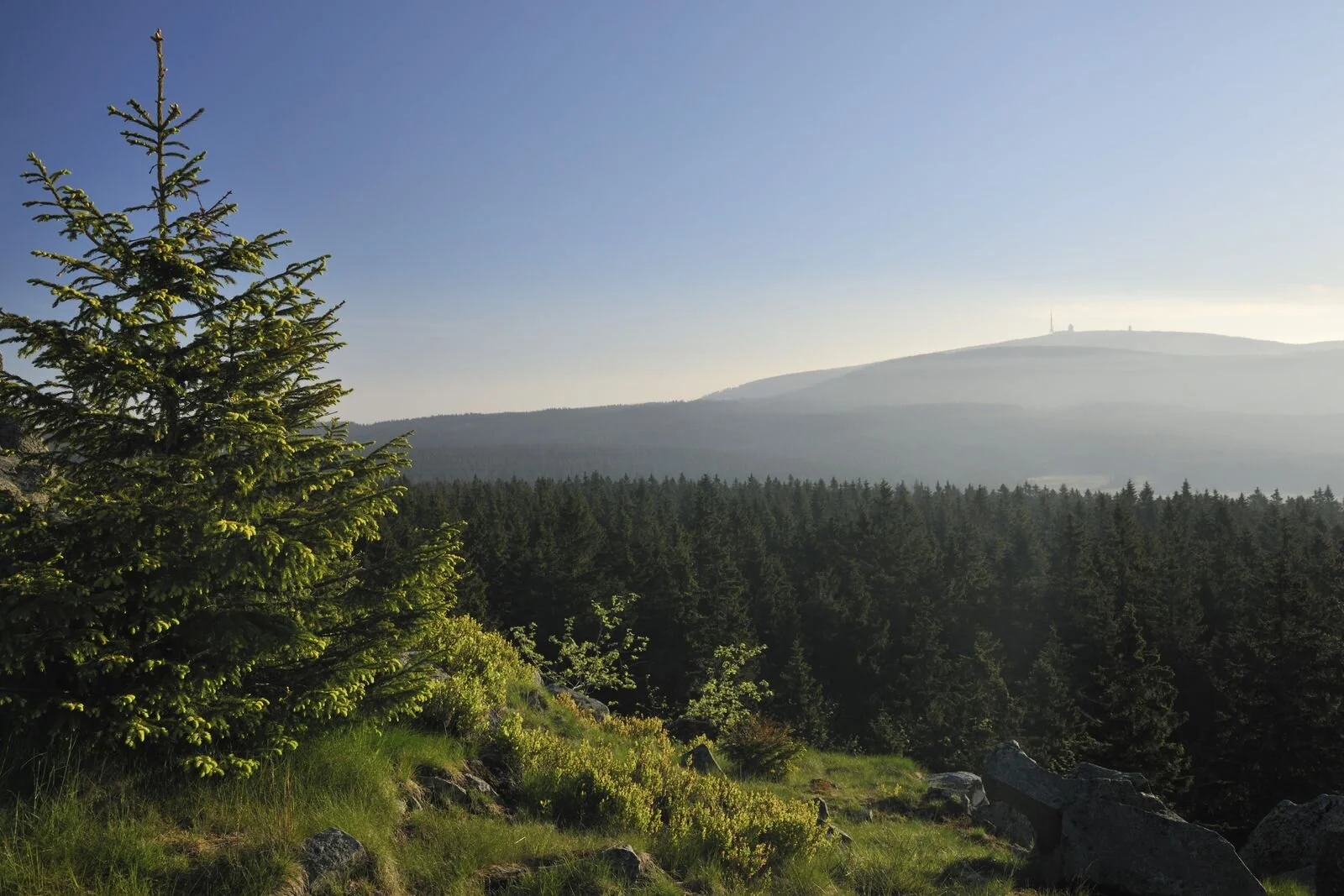 Sommerlager / Summer Camp 2020