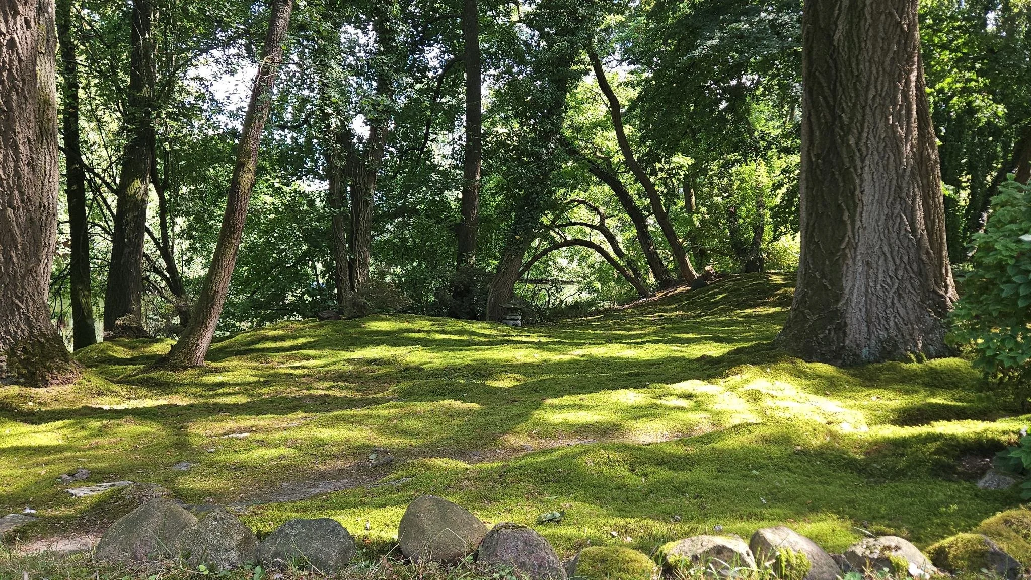 Blick in den Moosgarten des Zen-Zentrum in Schönböken vom Weg aus.