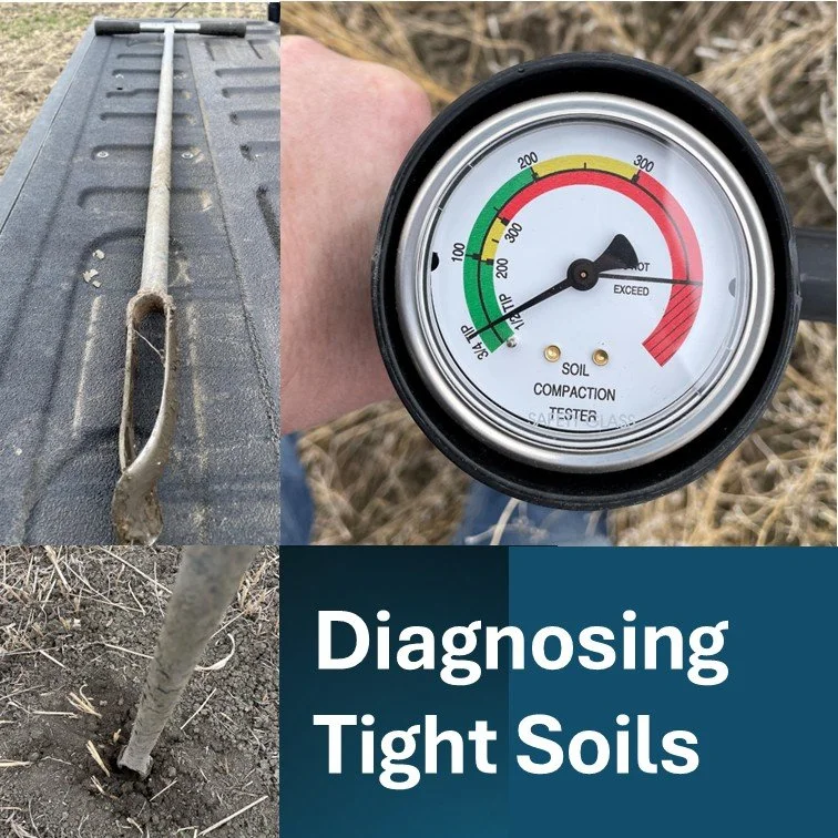 Tight soil isn’t a diagnosis 