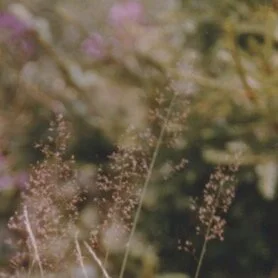 Der ayurvedische Schlüssel bei Wechseljahrsbeschwerden