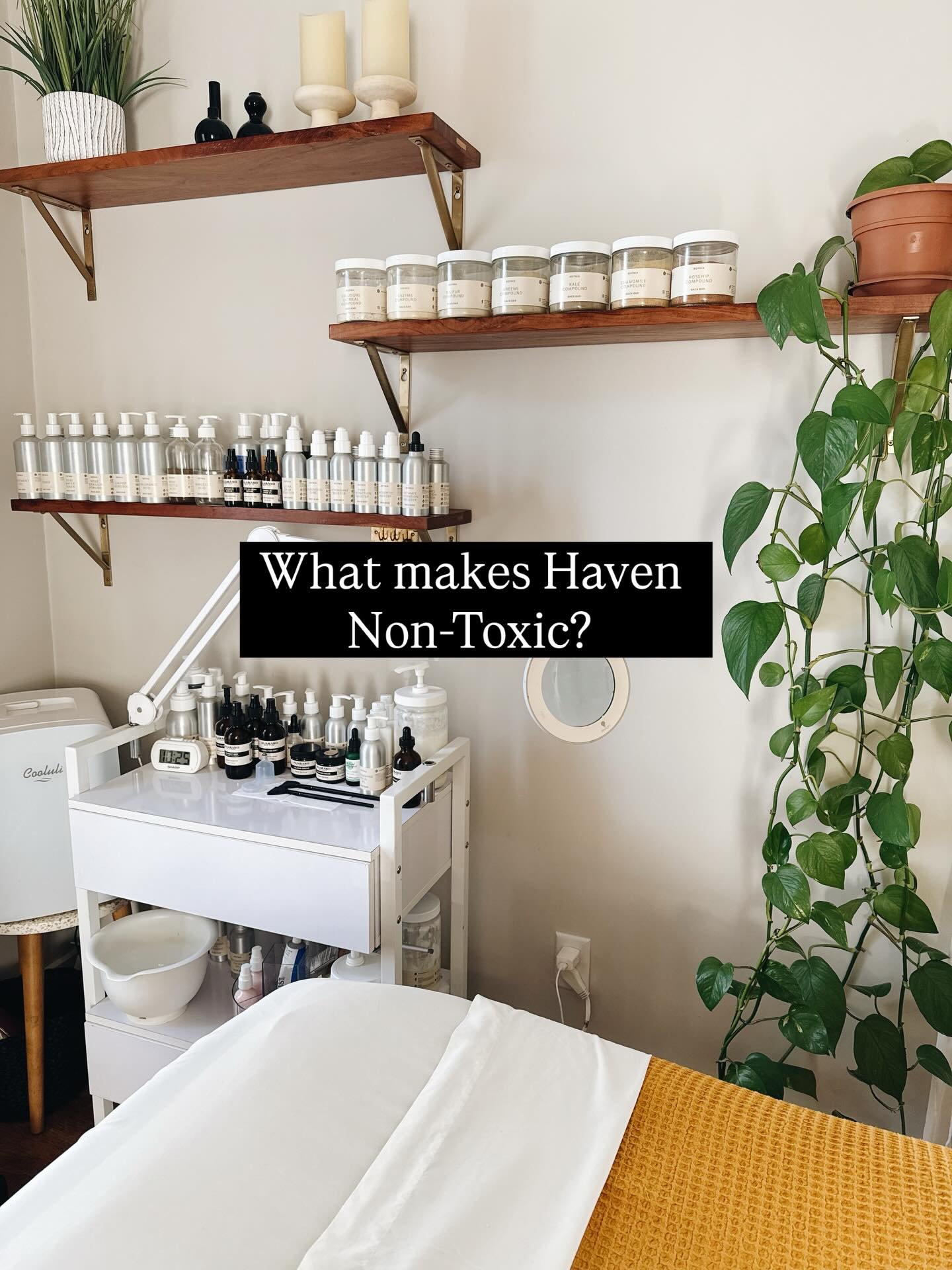 A non-toxic salon and spa does not just use clean products, but is a place that is welcoming, supportive and community focused. We hope you feel that when you visit Haven ❤️