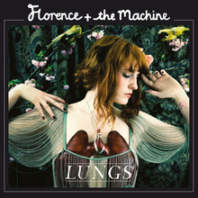 Dog Days Are Over - Florence + the Machine (Copy)