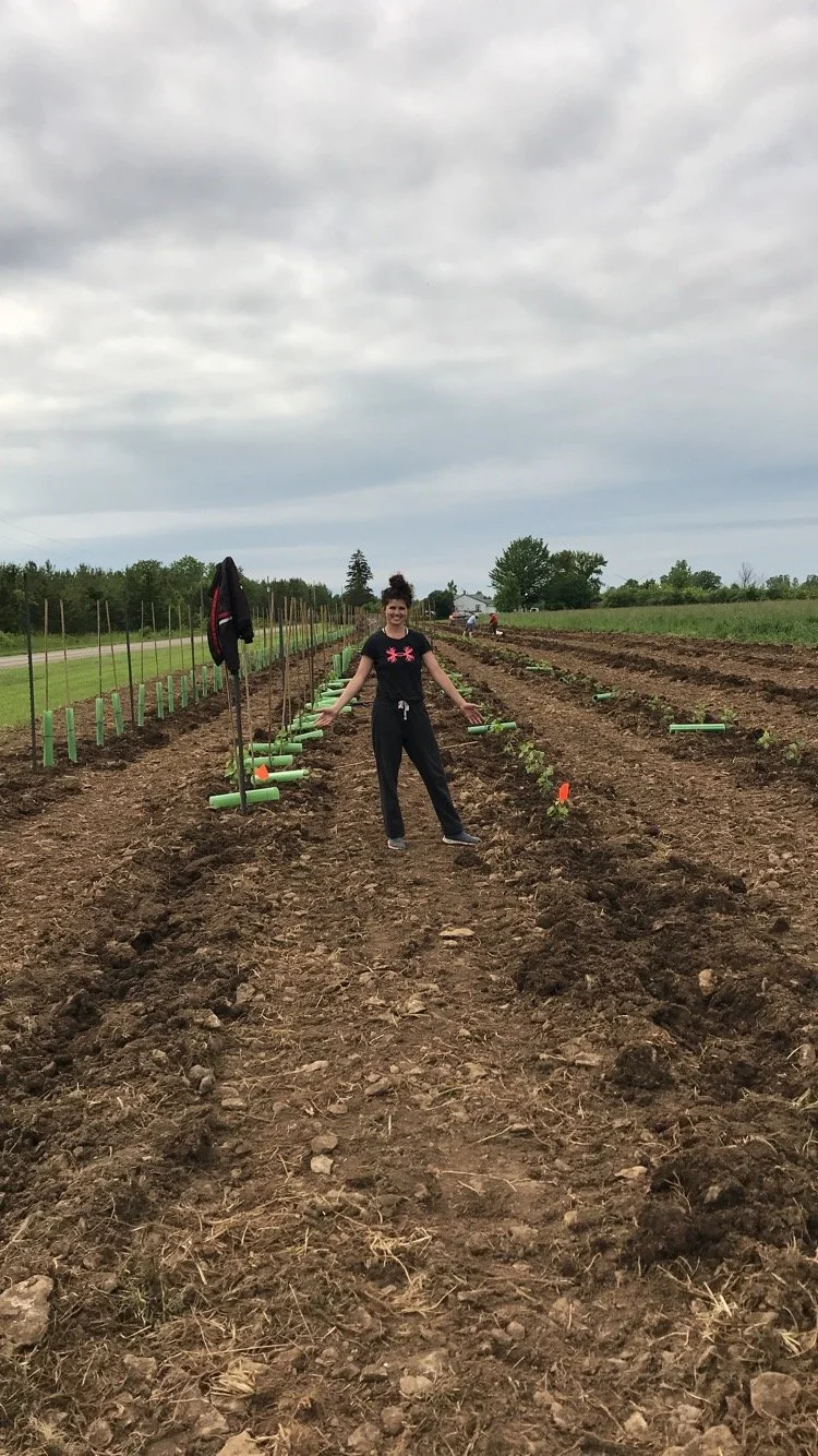 Planting Their First Crop
