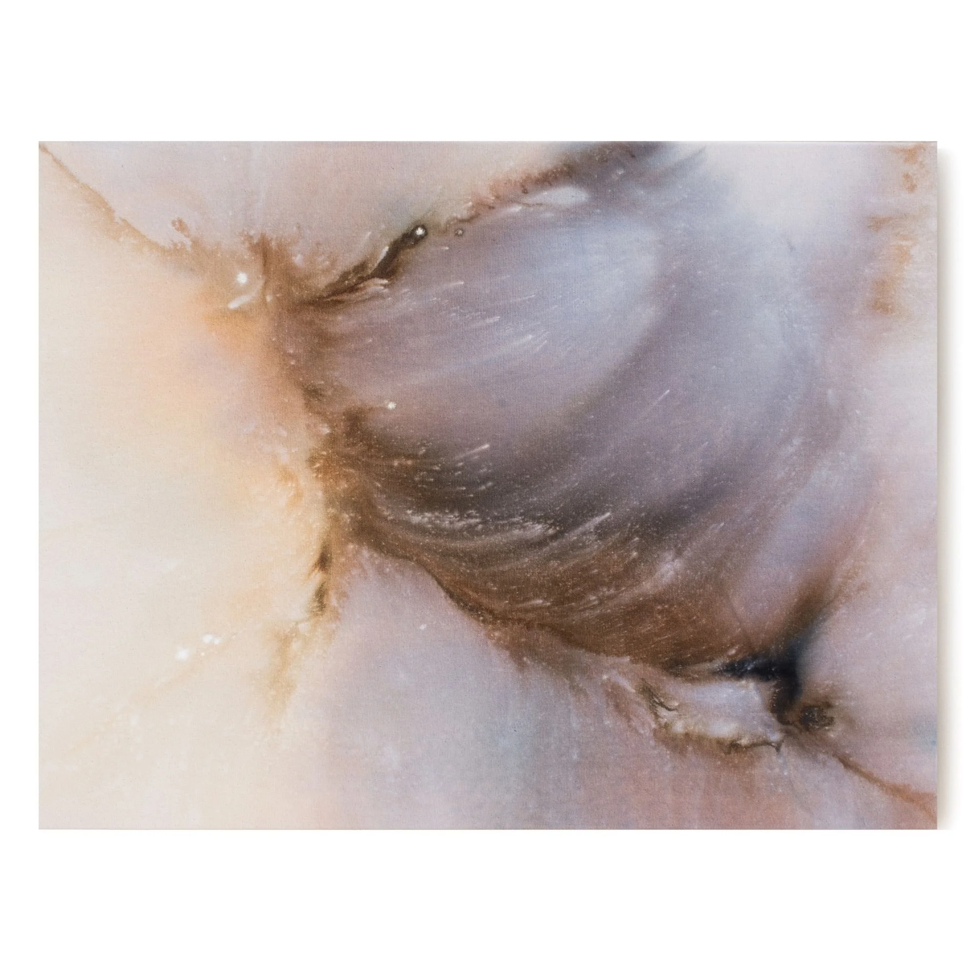 1 20x24 Horizontal Hero.jpg