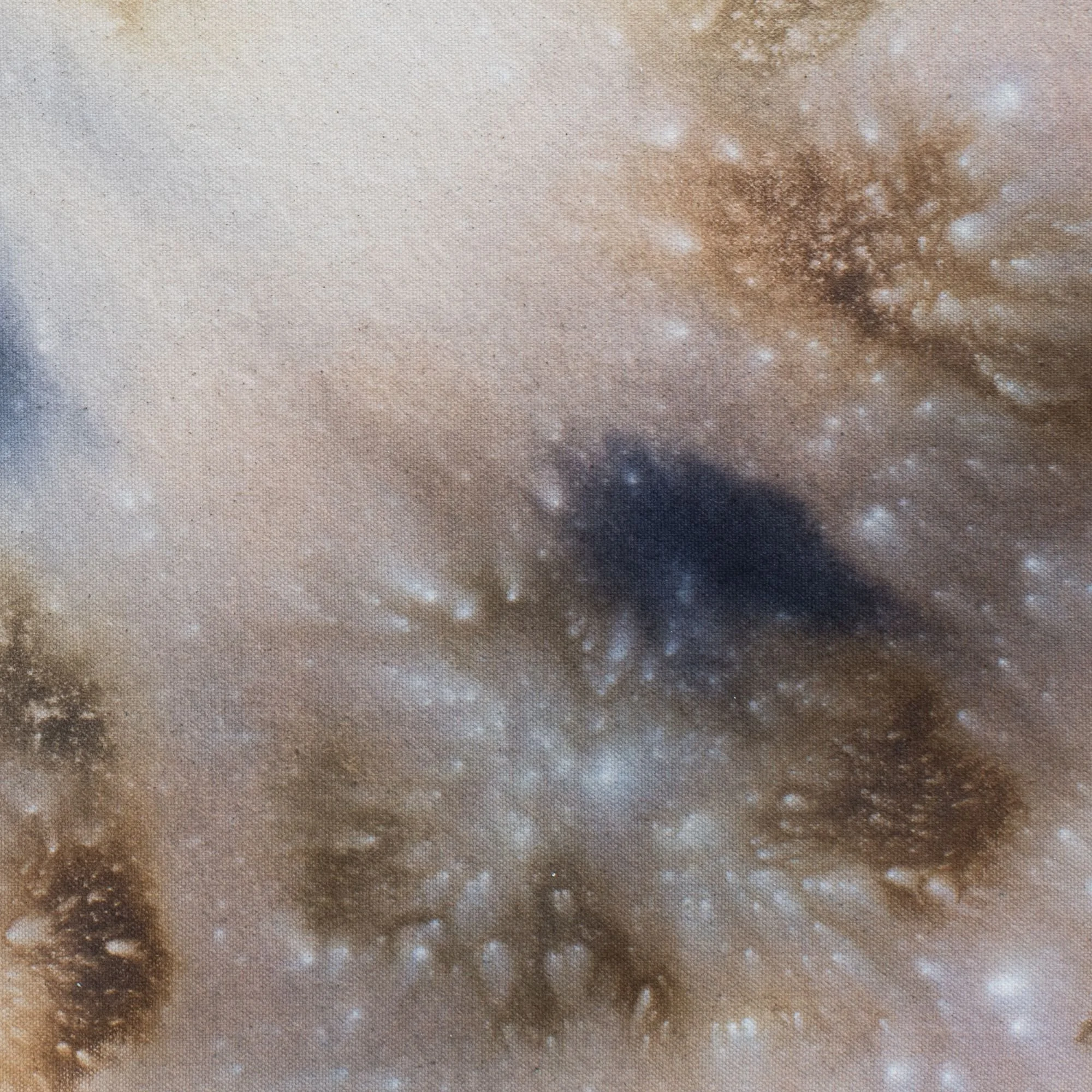 3 20x24 Horizontal Detail.jpg