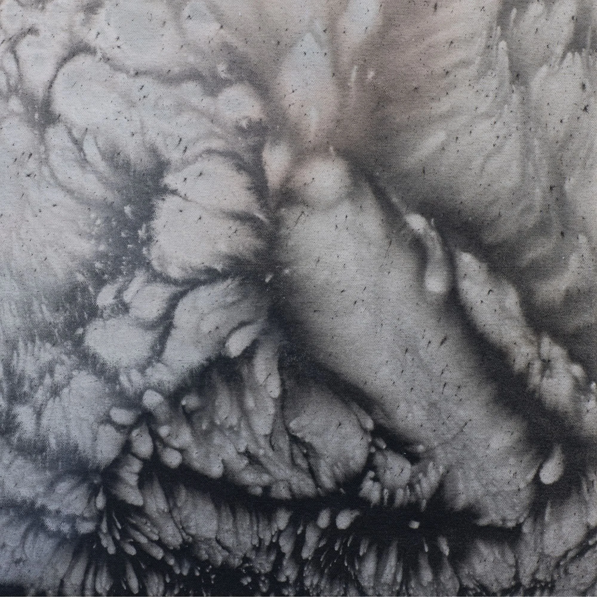 3 20x24 Horizontal Detail.jpg