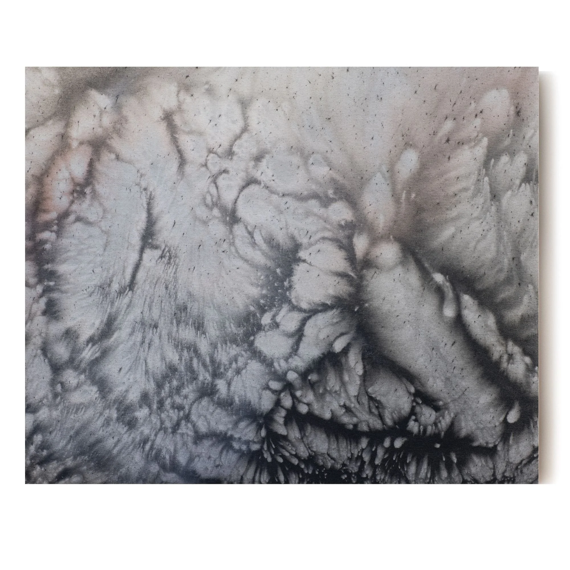 1 20x24 Horizontal Hero.jpg