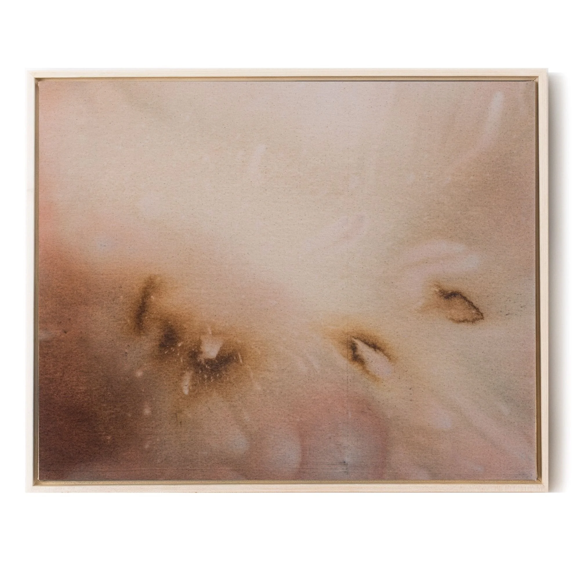 20x24 Horizontal Hero.jpg