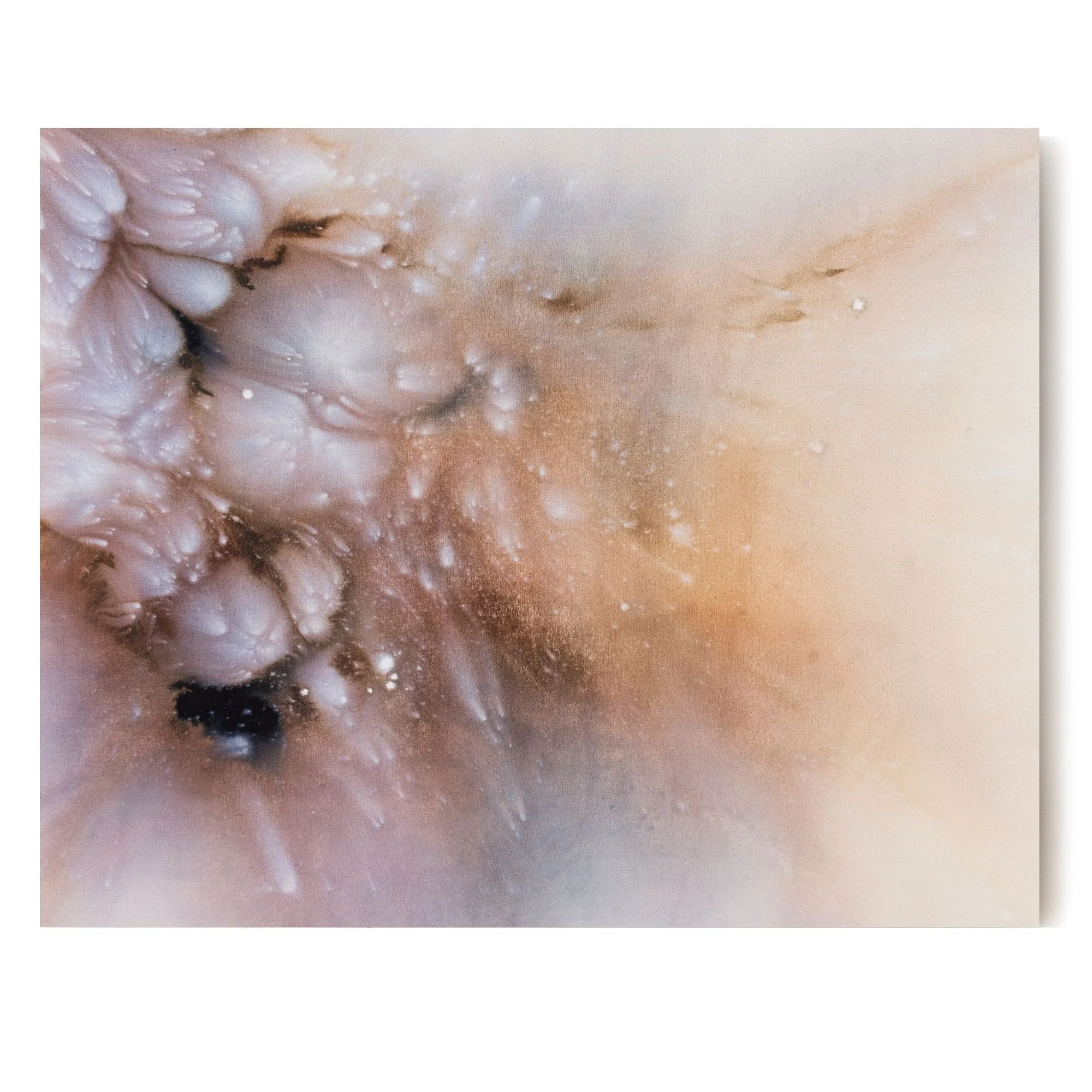 1 20x24 Horizontal Hero.jpg