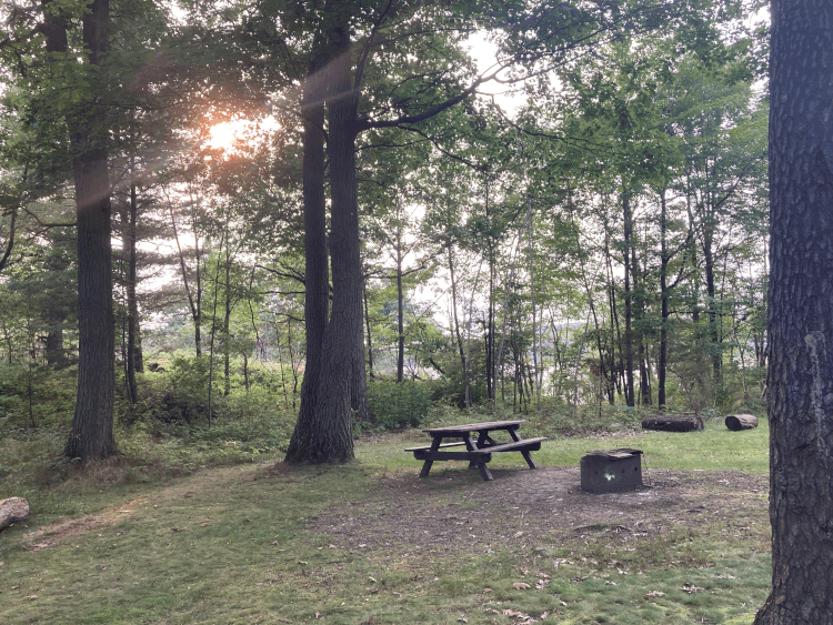 Photo taken by Cindy Ci Alt text: Landscape picture of a forest. In the top left corner, a sun is seen shining through the branches of tall trees. In an open grass area in the bottom right corner, there is a picnic bench and a stone campfire.
