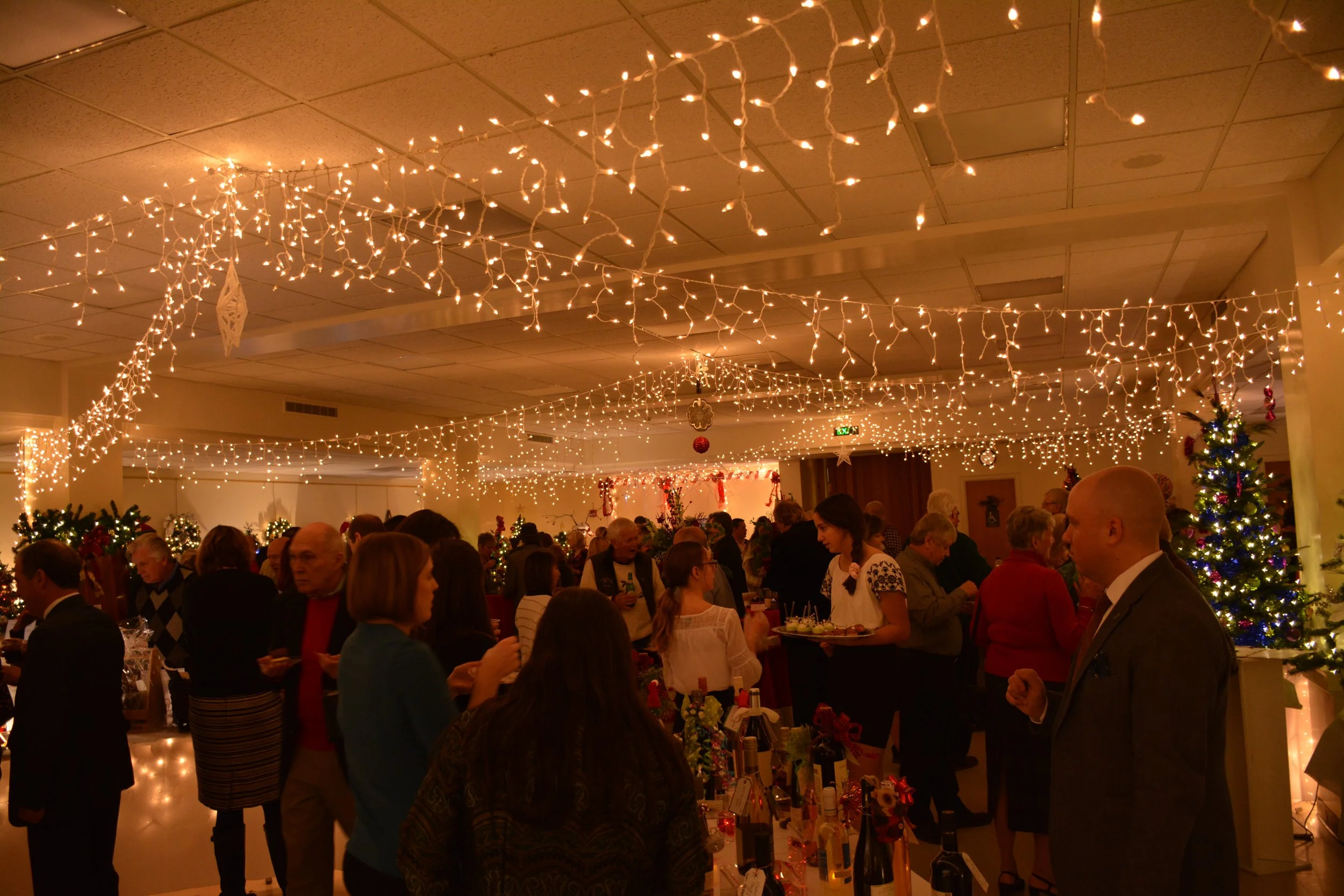 Toast to the Trees: Festival of Lights Gala &amp; Auction