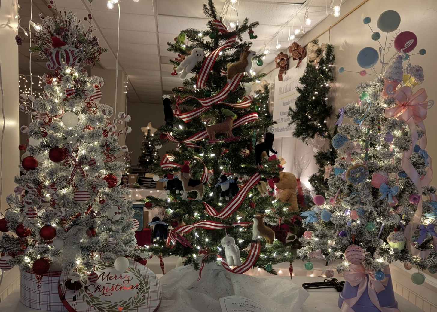 The “Toast to the Trees” Gala took place December 5, 2025 and the 42nd Annual Festival of Lights Was Held December 6-9, 2025