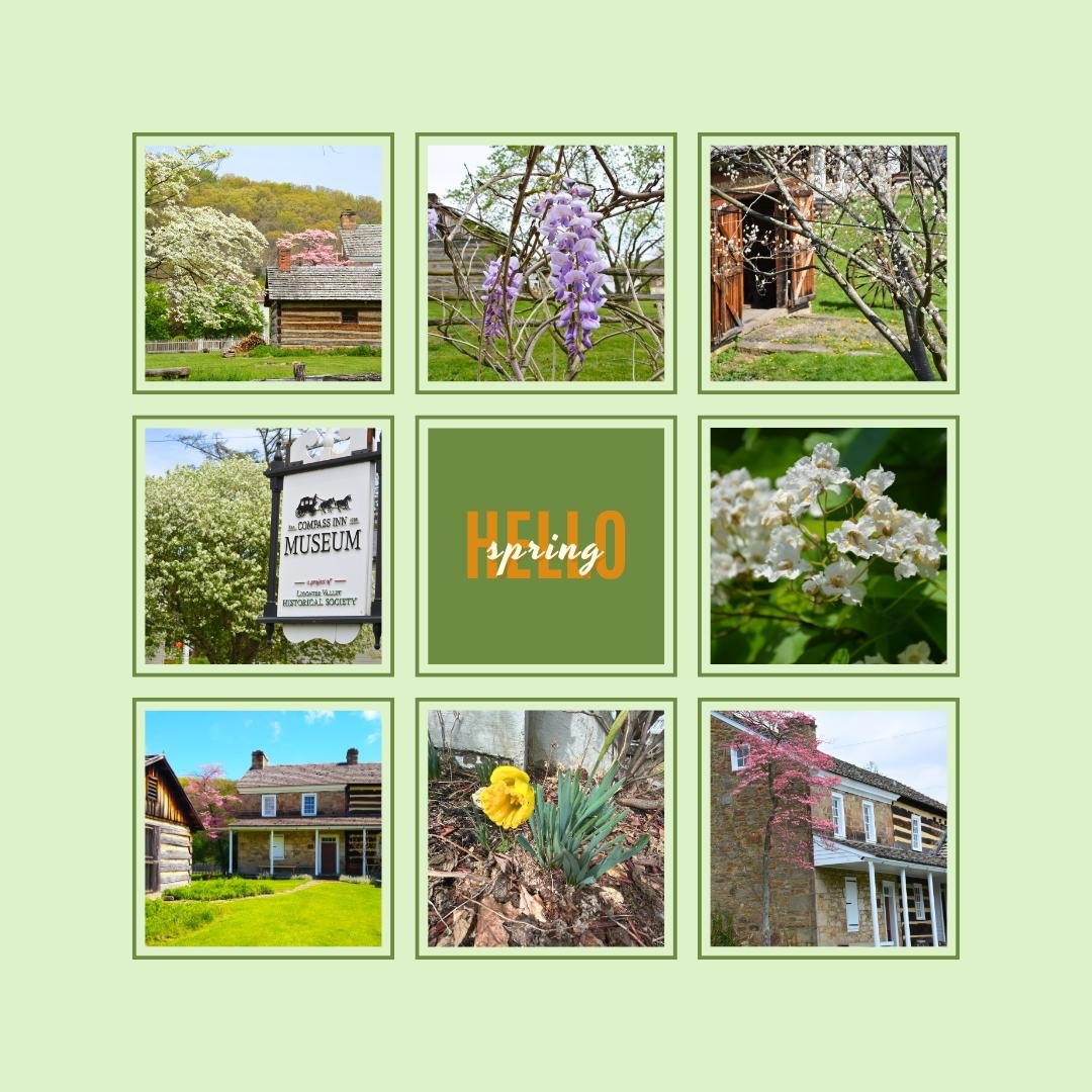 Where history meets springtime 🌿

Around our site, the Spring season blooms just as it did centuries ago. Reminding us that while years pass, some beauty never changes. 

#firstdayofspring  #historicsite #PastAndPresent #SpringScenes #laurelhighland