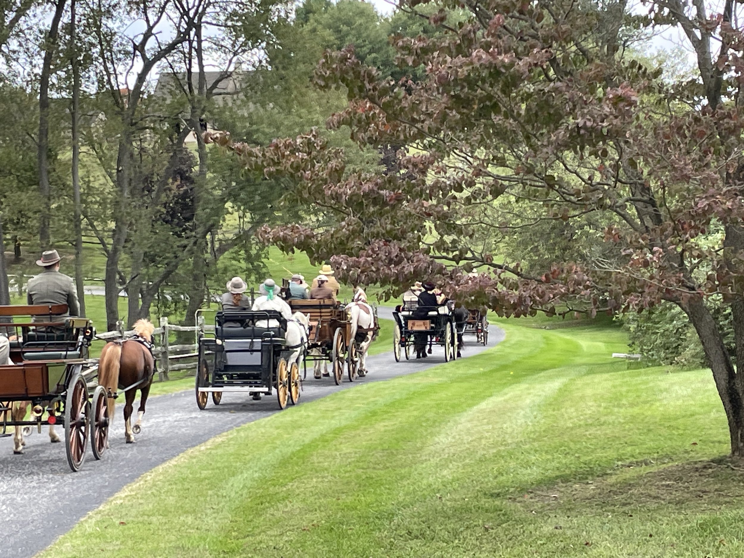 Carriage Drives
