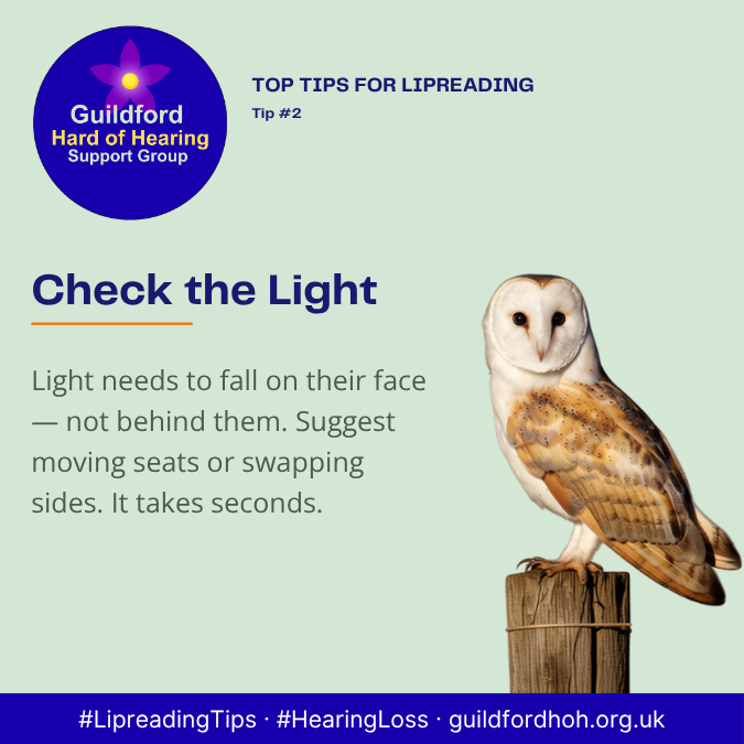 Check the Light
