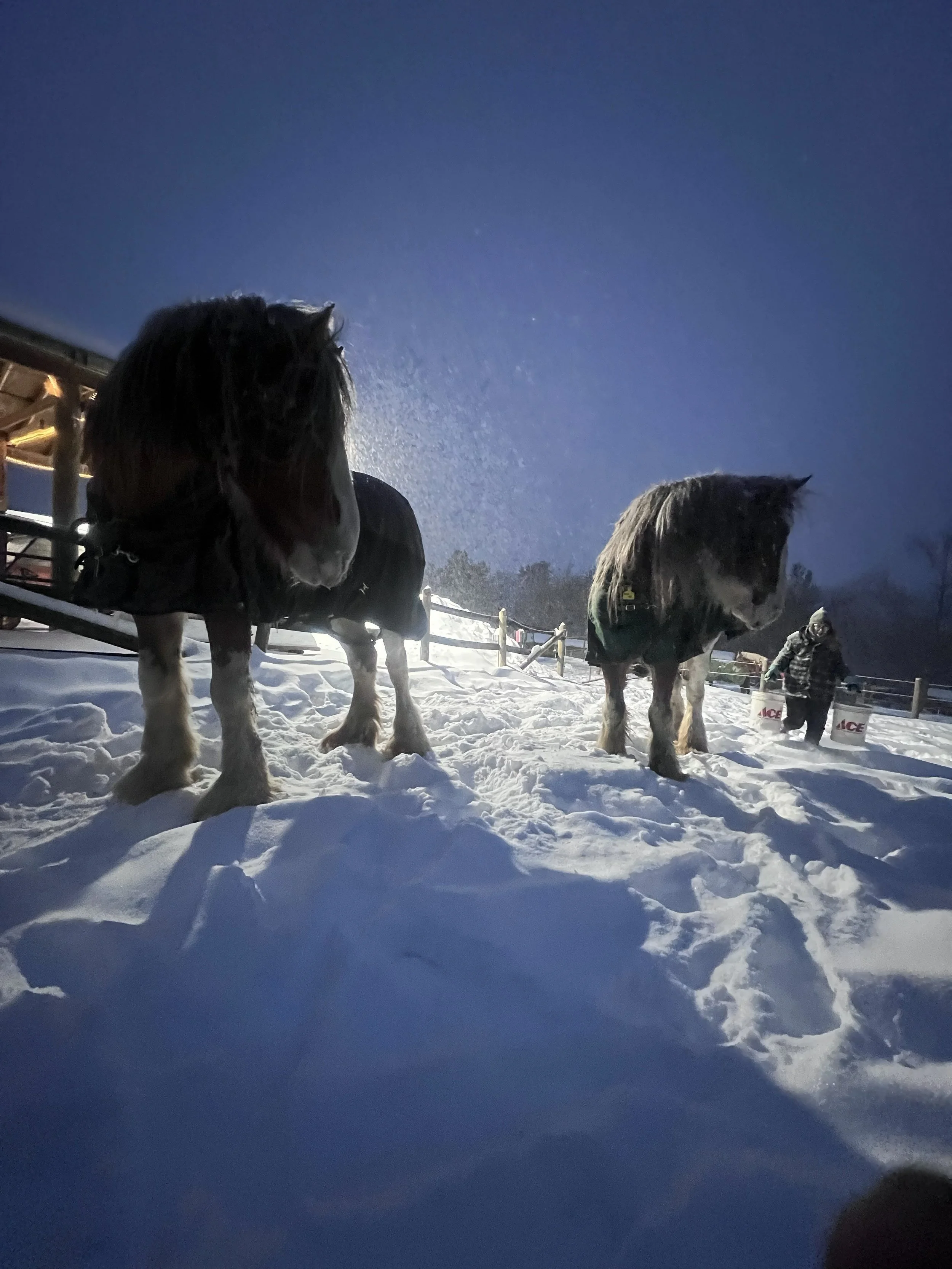 IMG_3172(1) - Copy.JPG