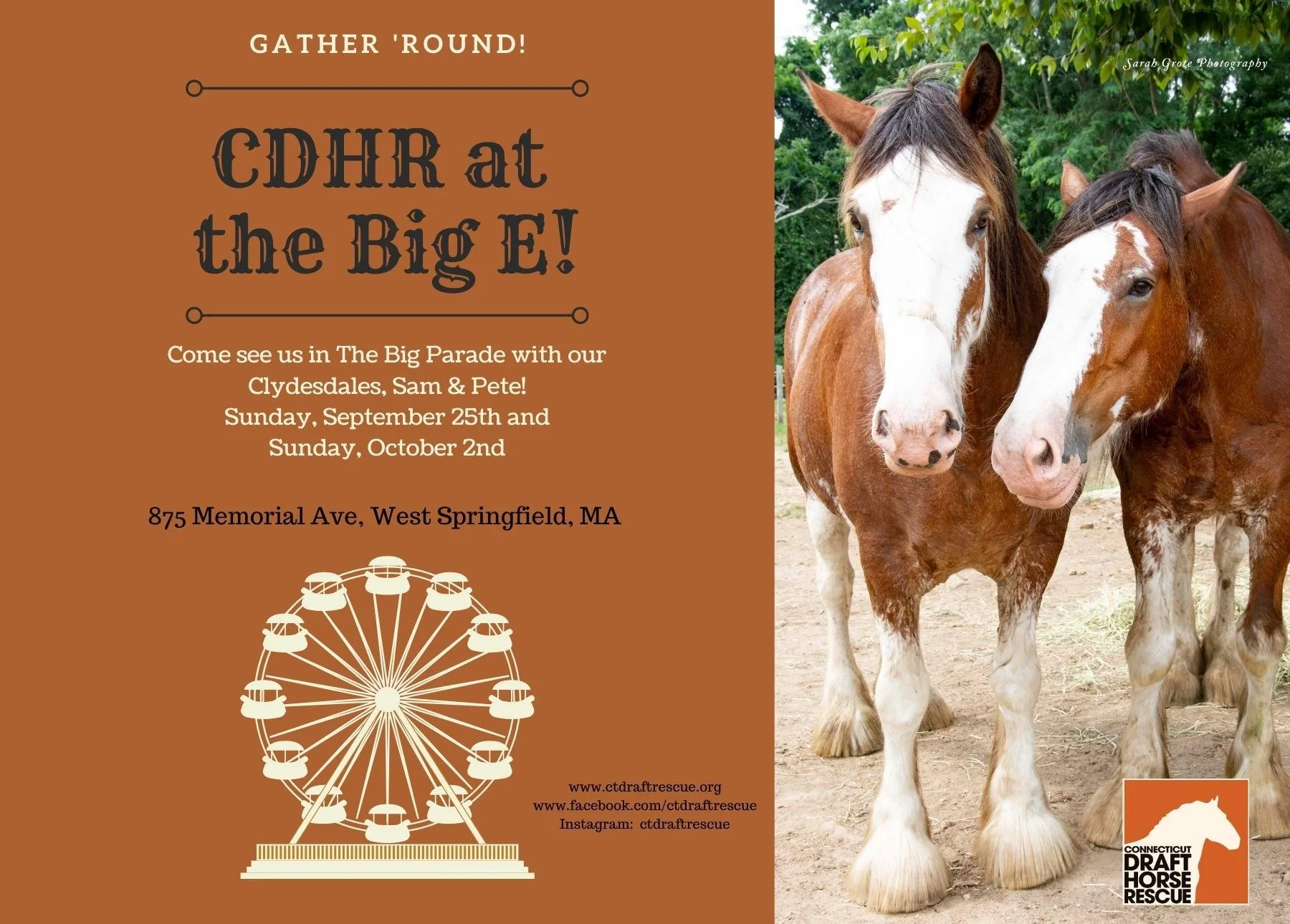 CDHR at the Big E — Connecticut Draft Horse Rescue
