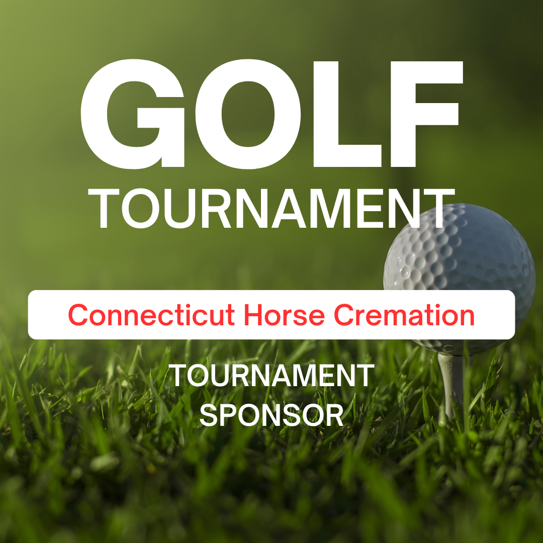 9th Annual Driving For Drafts Golf Tournament — Connecticut Draft Horse