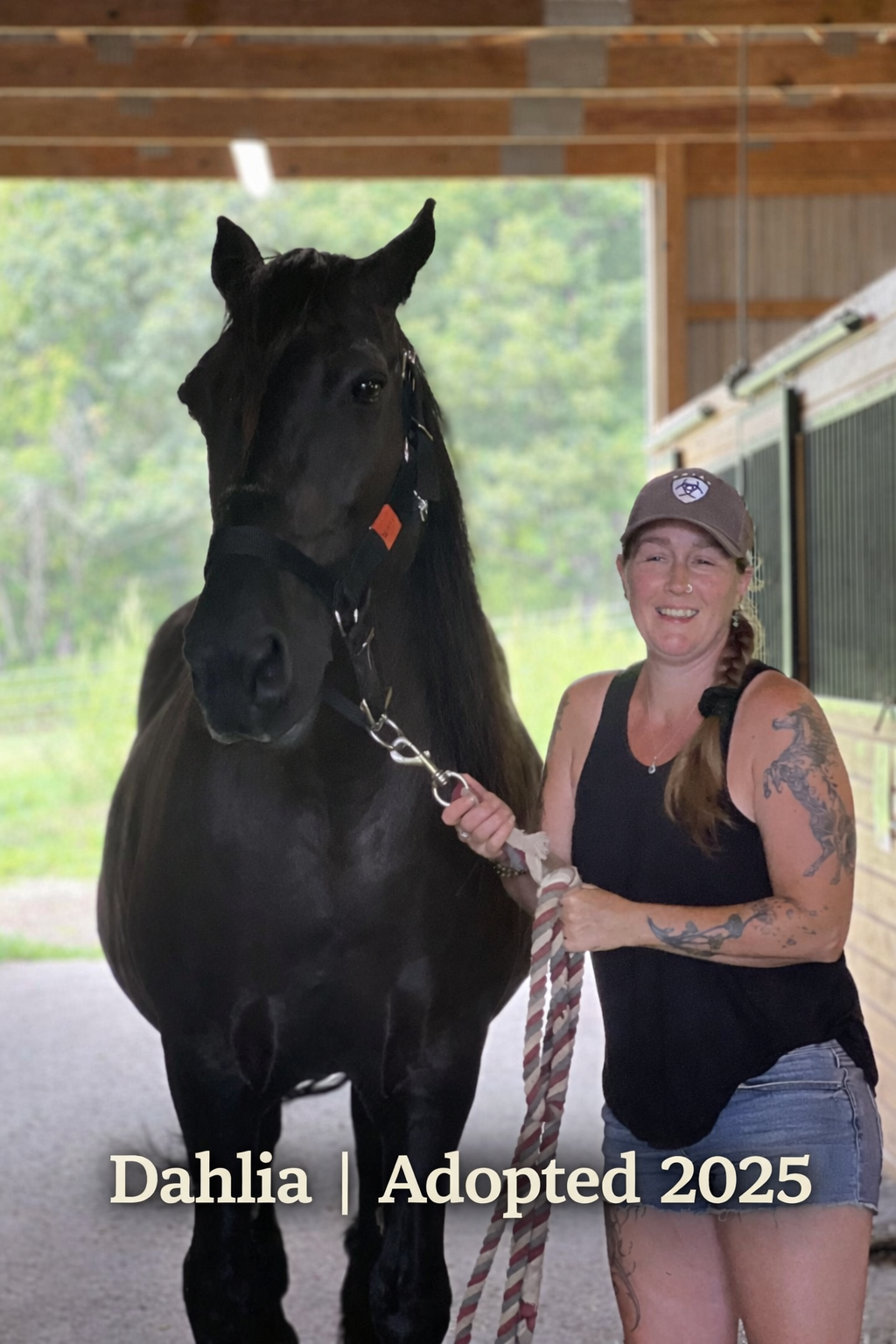 Dahlia Adopted.png