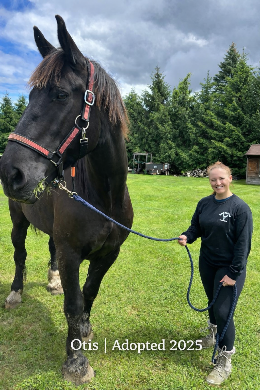 Otis Adopted.png