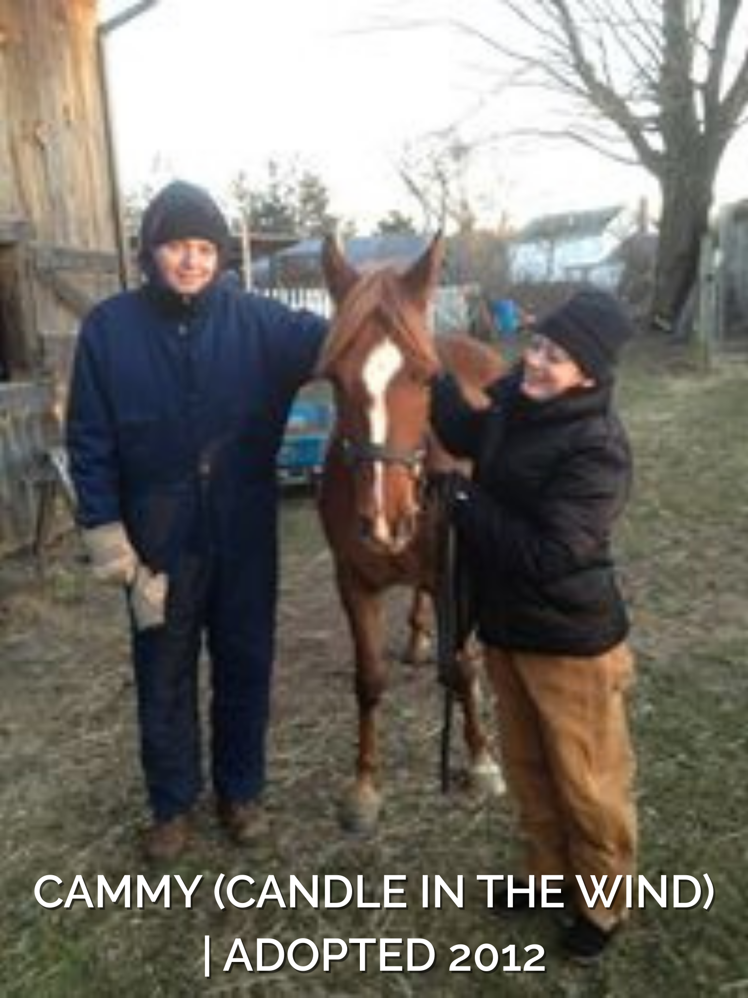 Adopted 2012.png