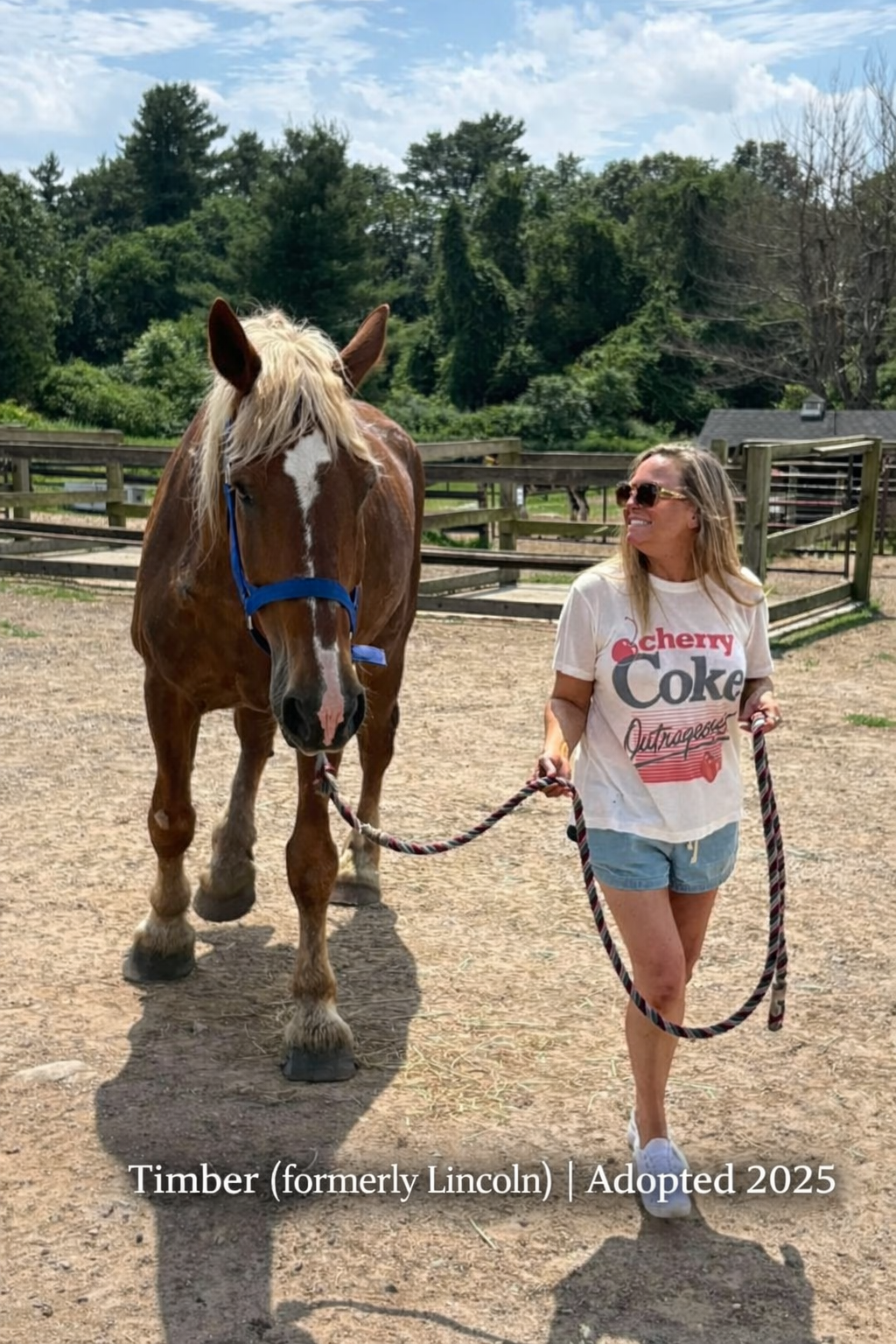 Timber/Lincoln Adopted.png