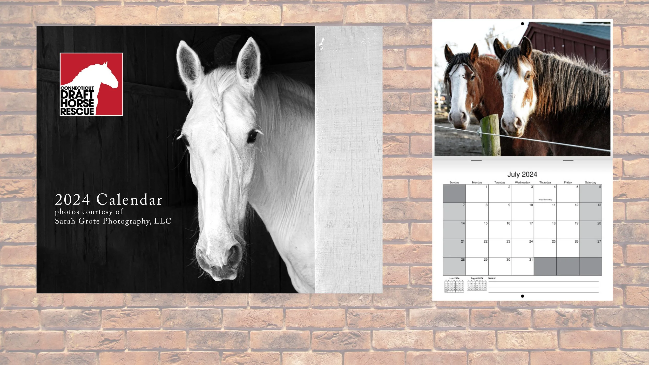 CT Draft Horse Rescue