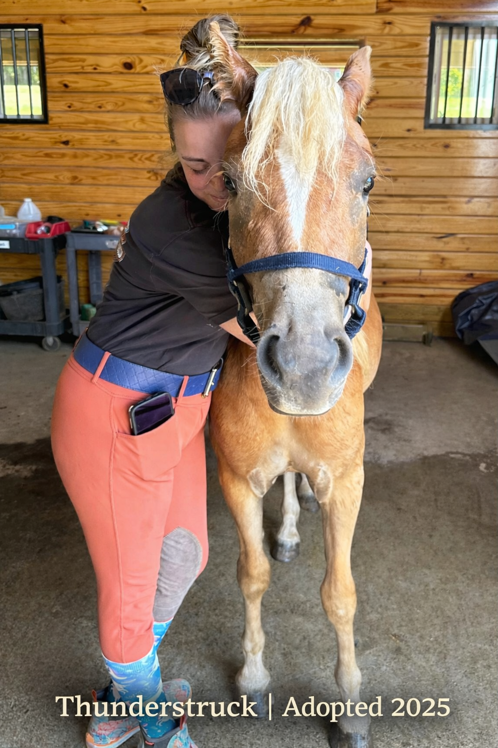 Thunderstruck Adopted.png