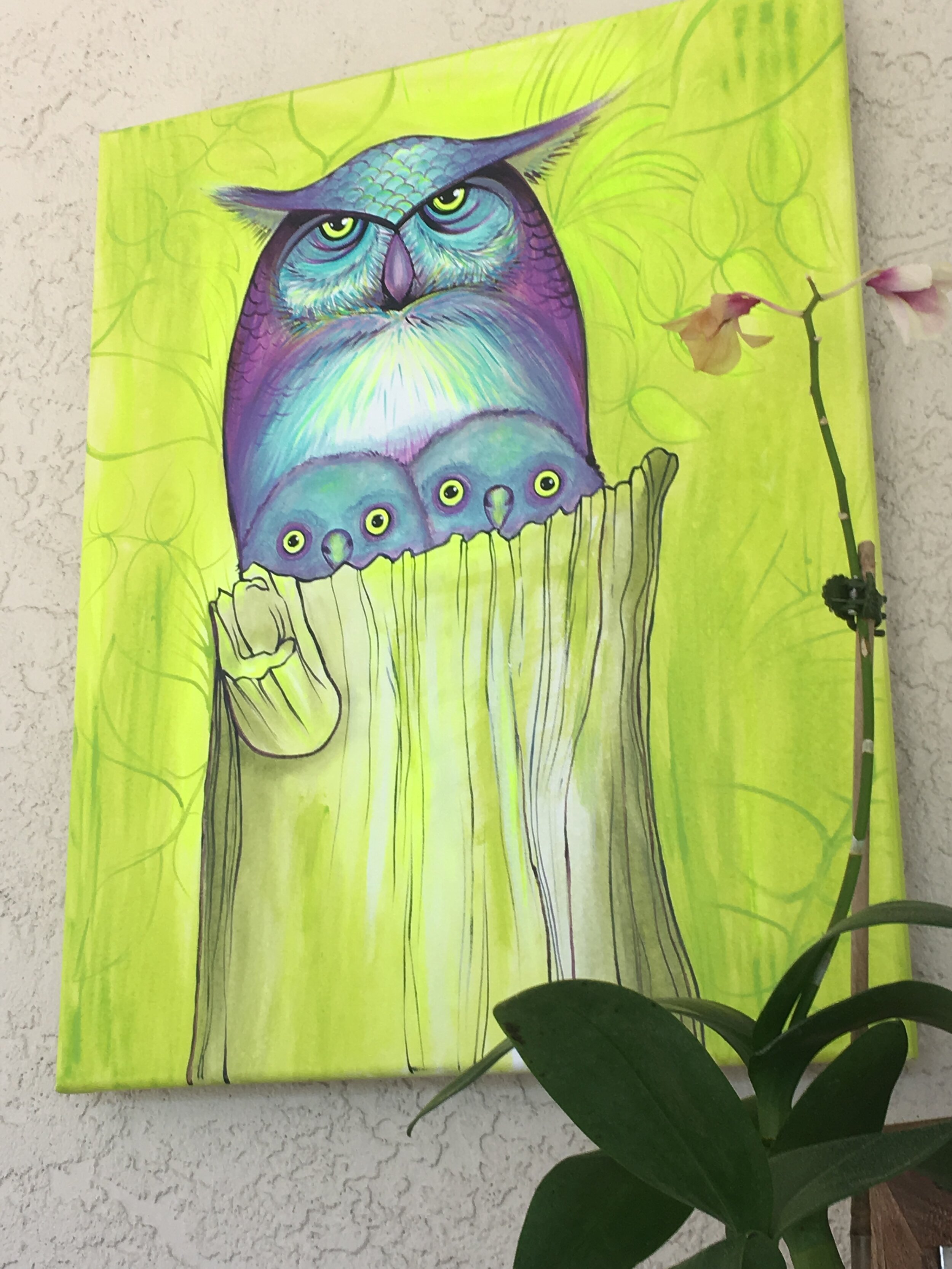 Owl Family, Lanai Studio, Florida, March 2019