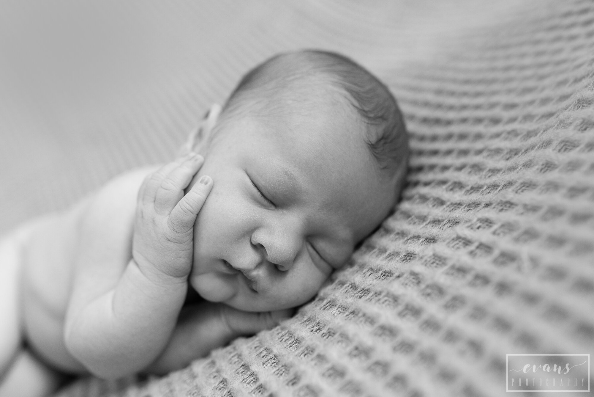 Canfield Newborn Photographer-22.jpg