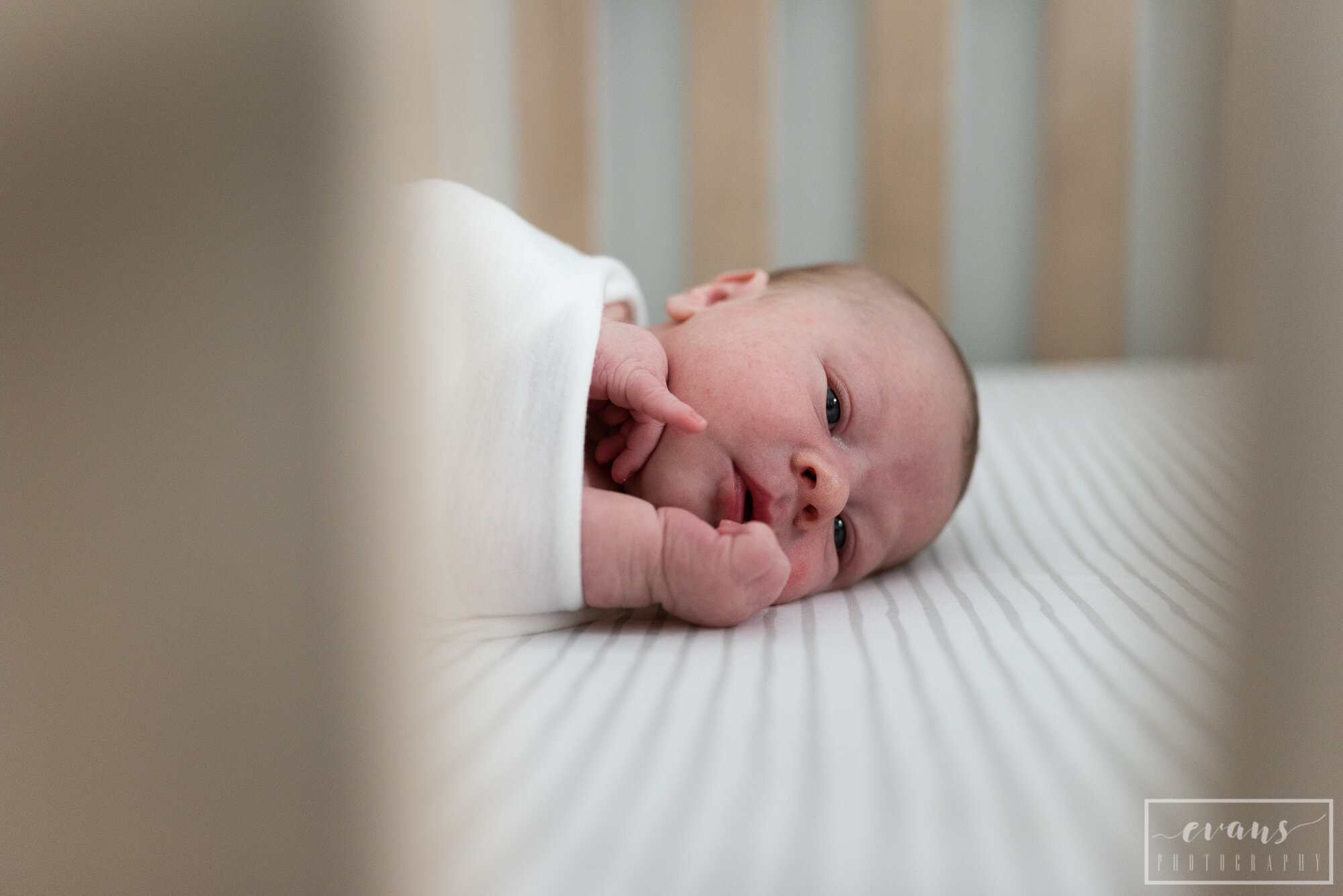 Canfield Newborn Photographer-18.jpg