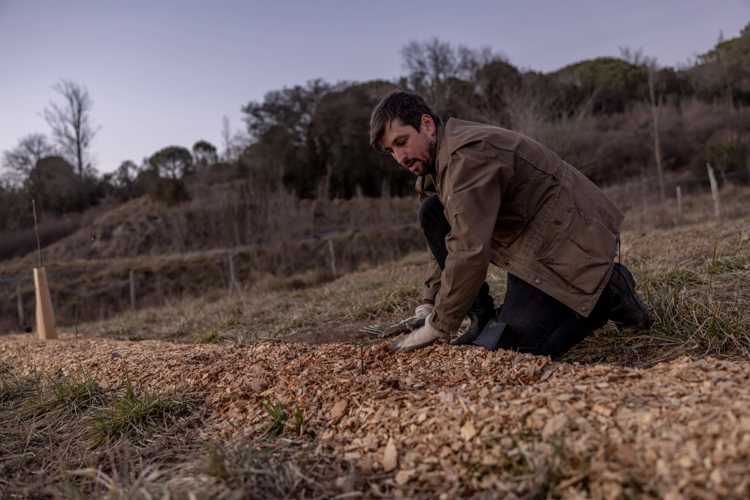 Daniel Etter planting at Sota la Quinta in Sant Aniol de Finestres, Spain.