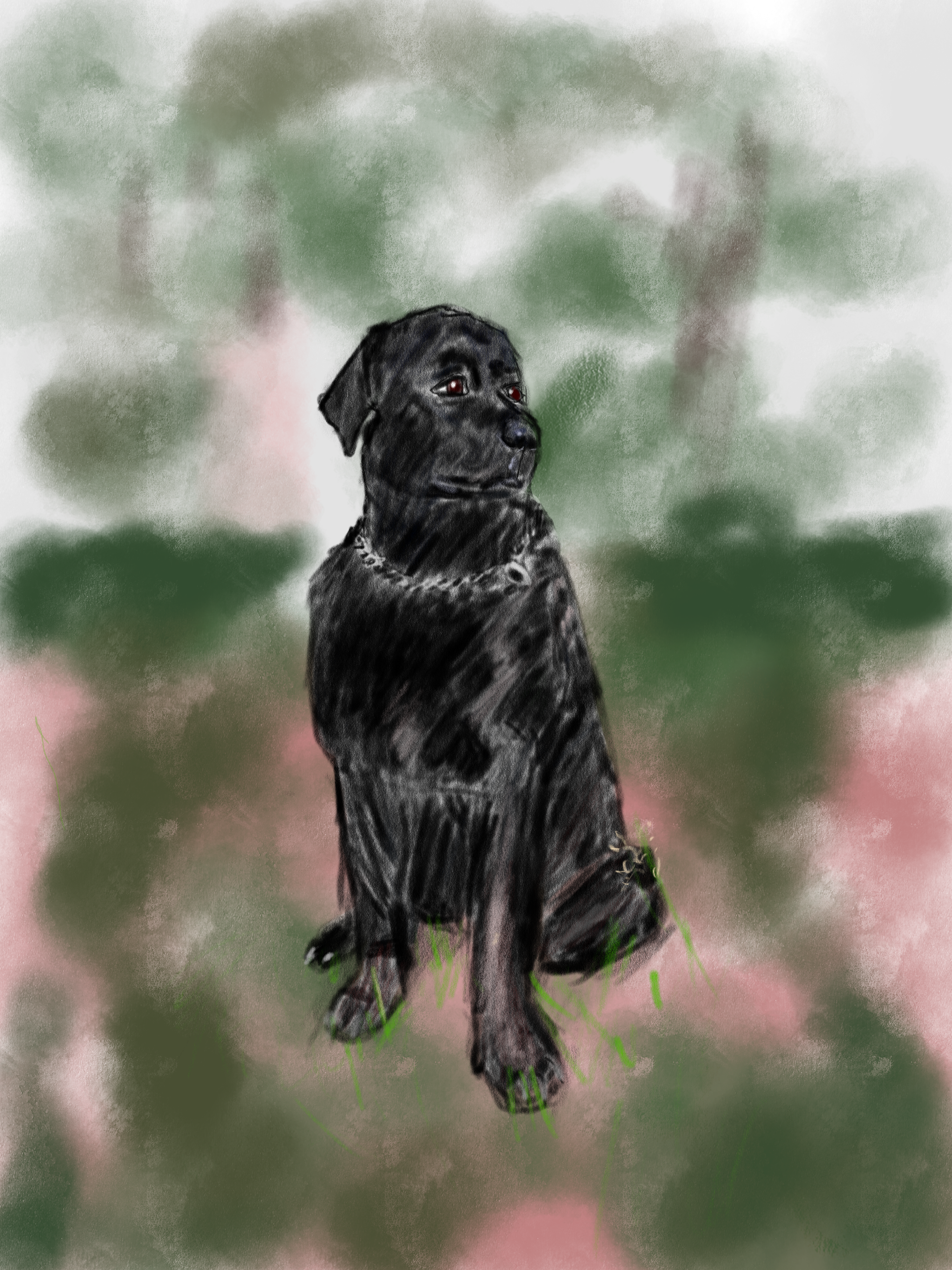 Labrador taking a rest