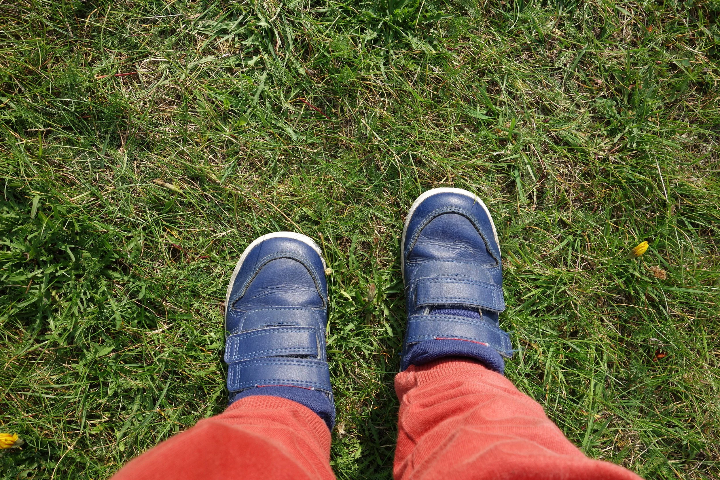 Through the eyes of a three-year-old