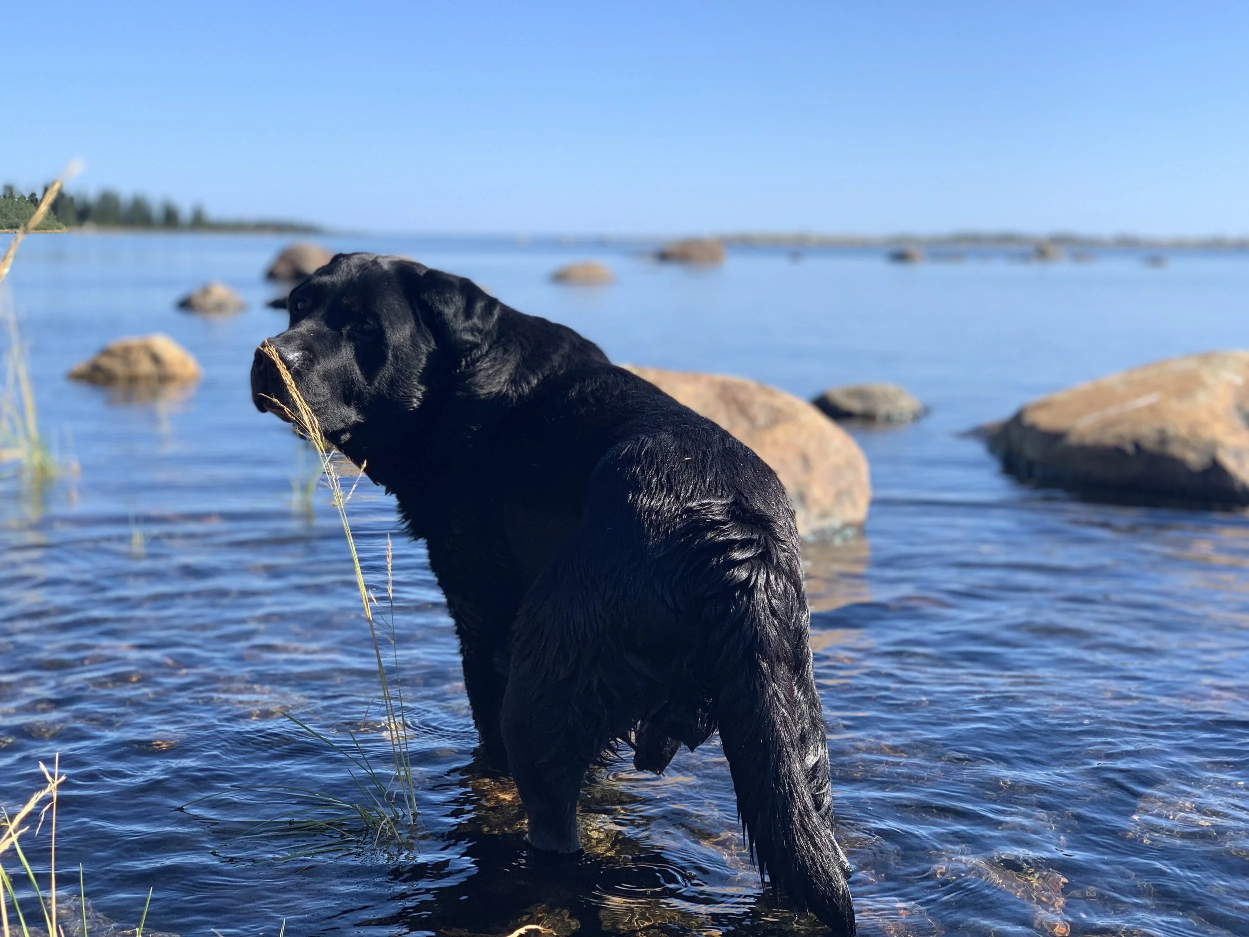 Conversations reveal solutions