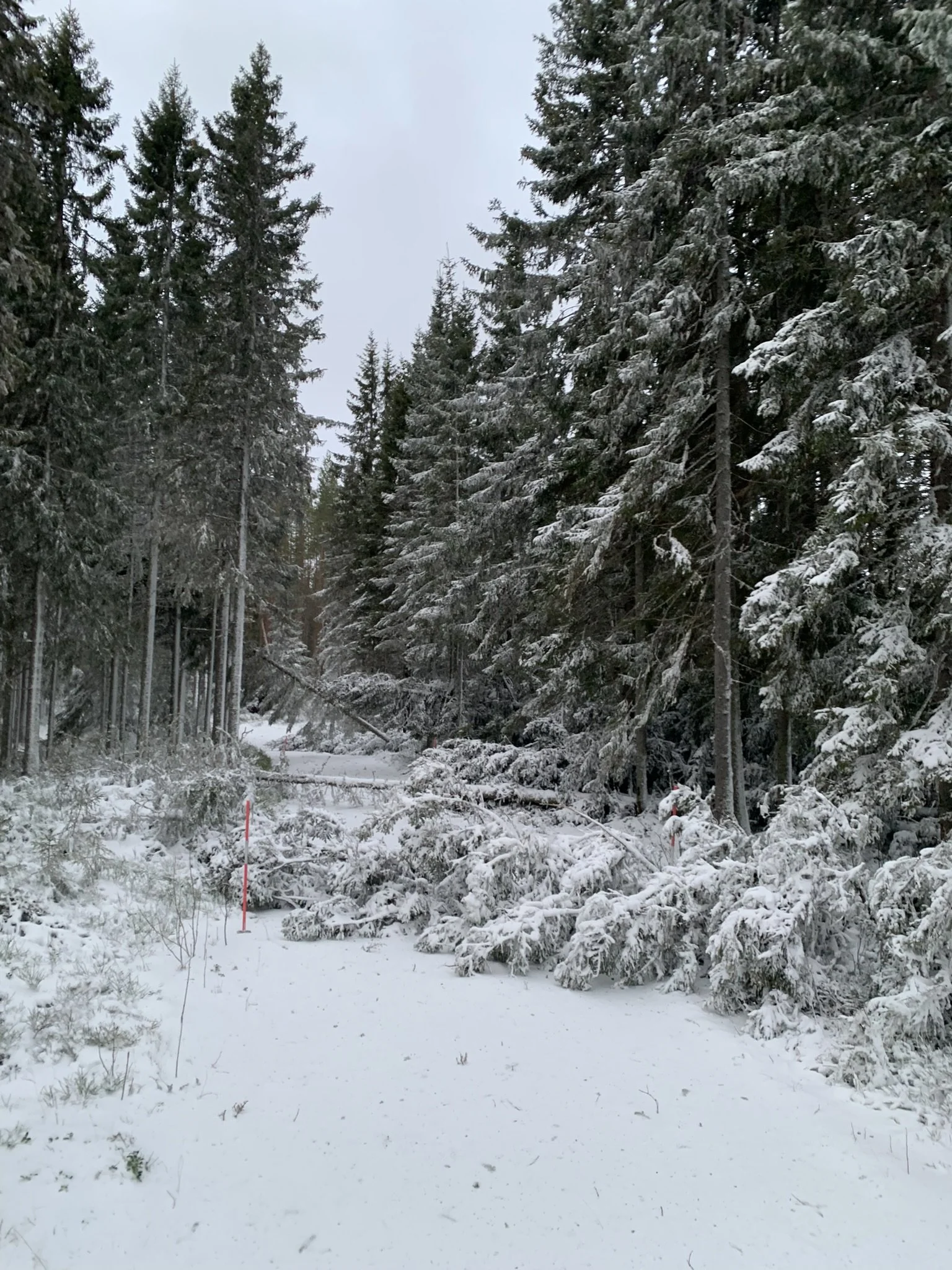 No rules without exception