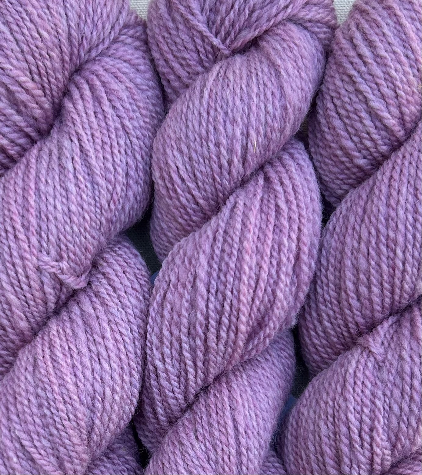 peony2.jpeg