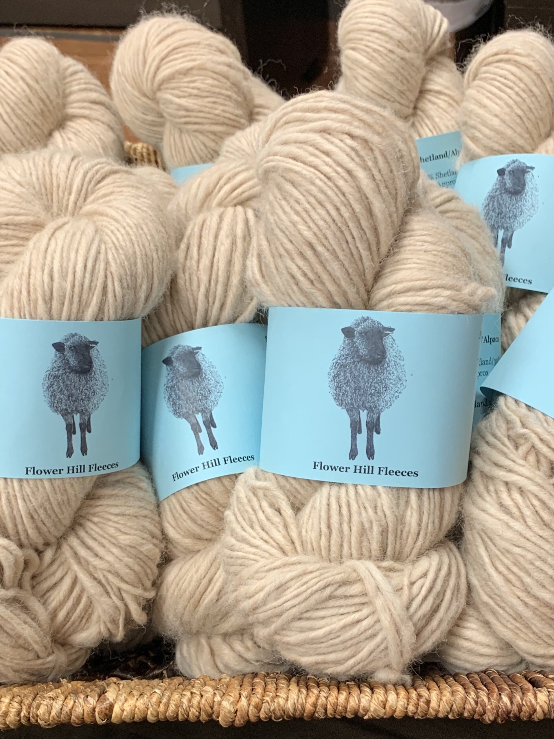 shetlandalpacaroberta2.jpeg