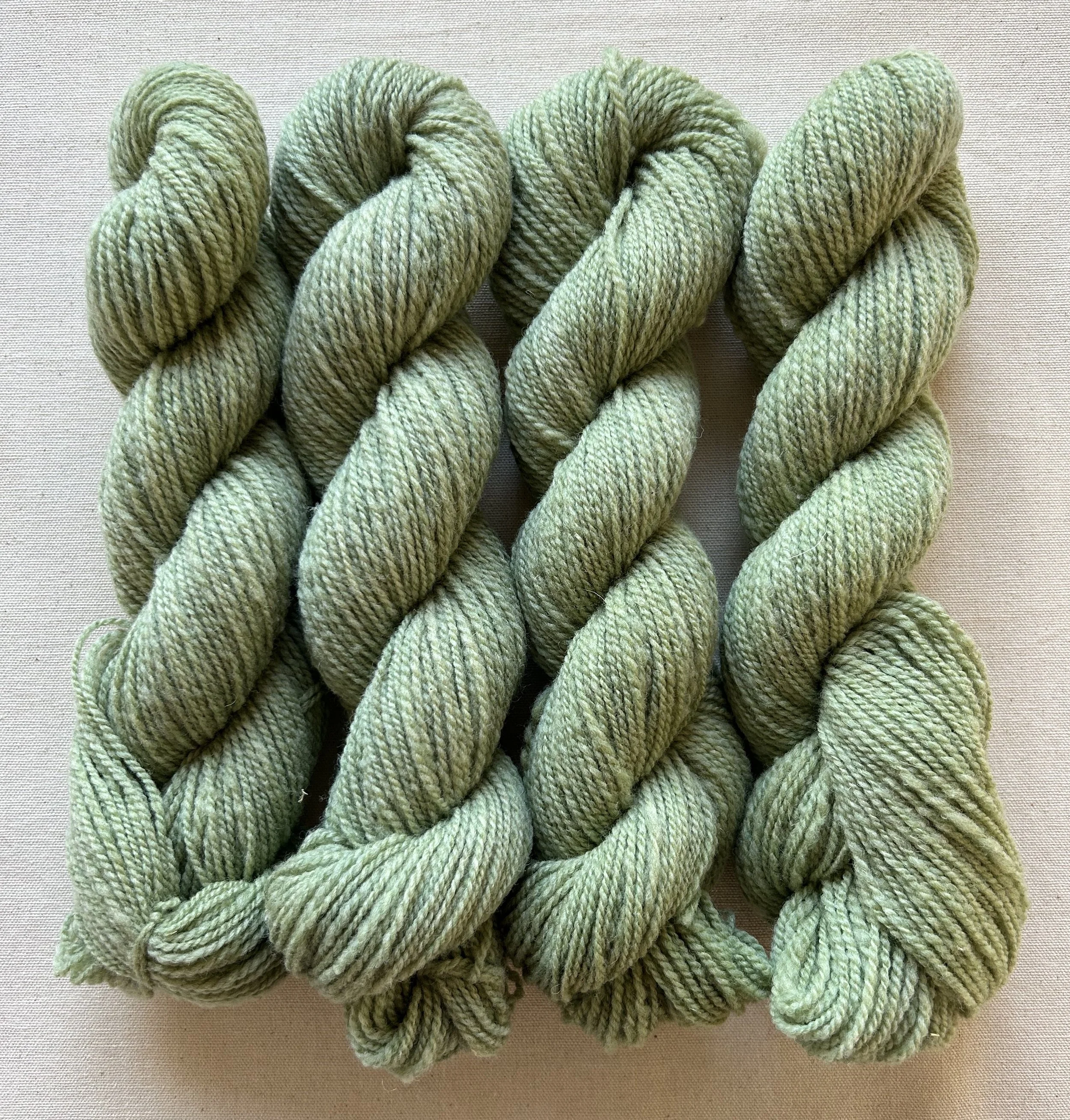 IMG_0390.jpeg (Copy)