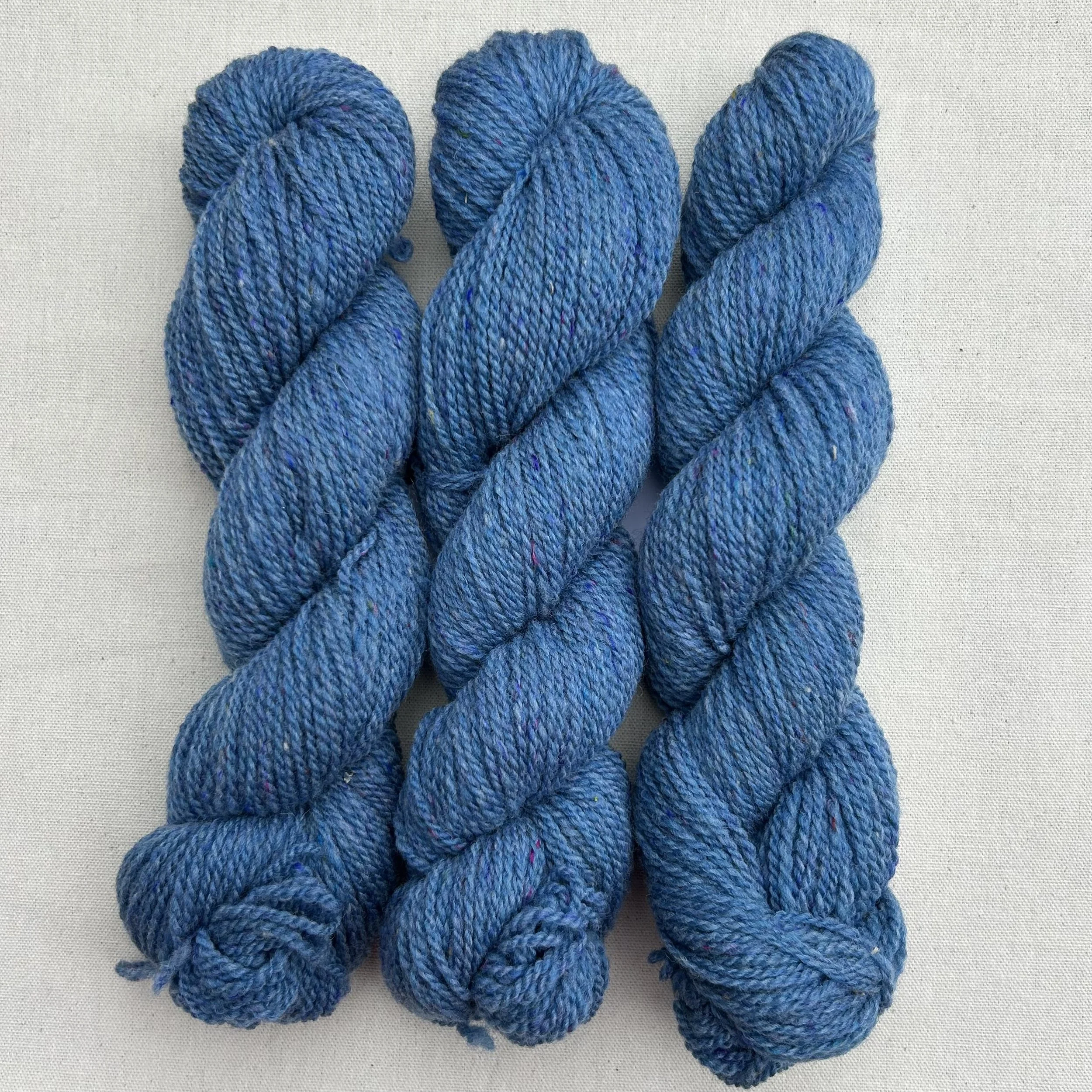 Blueberry Tart DK