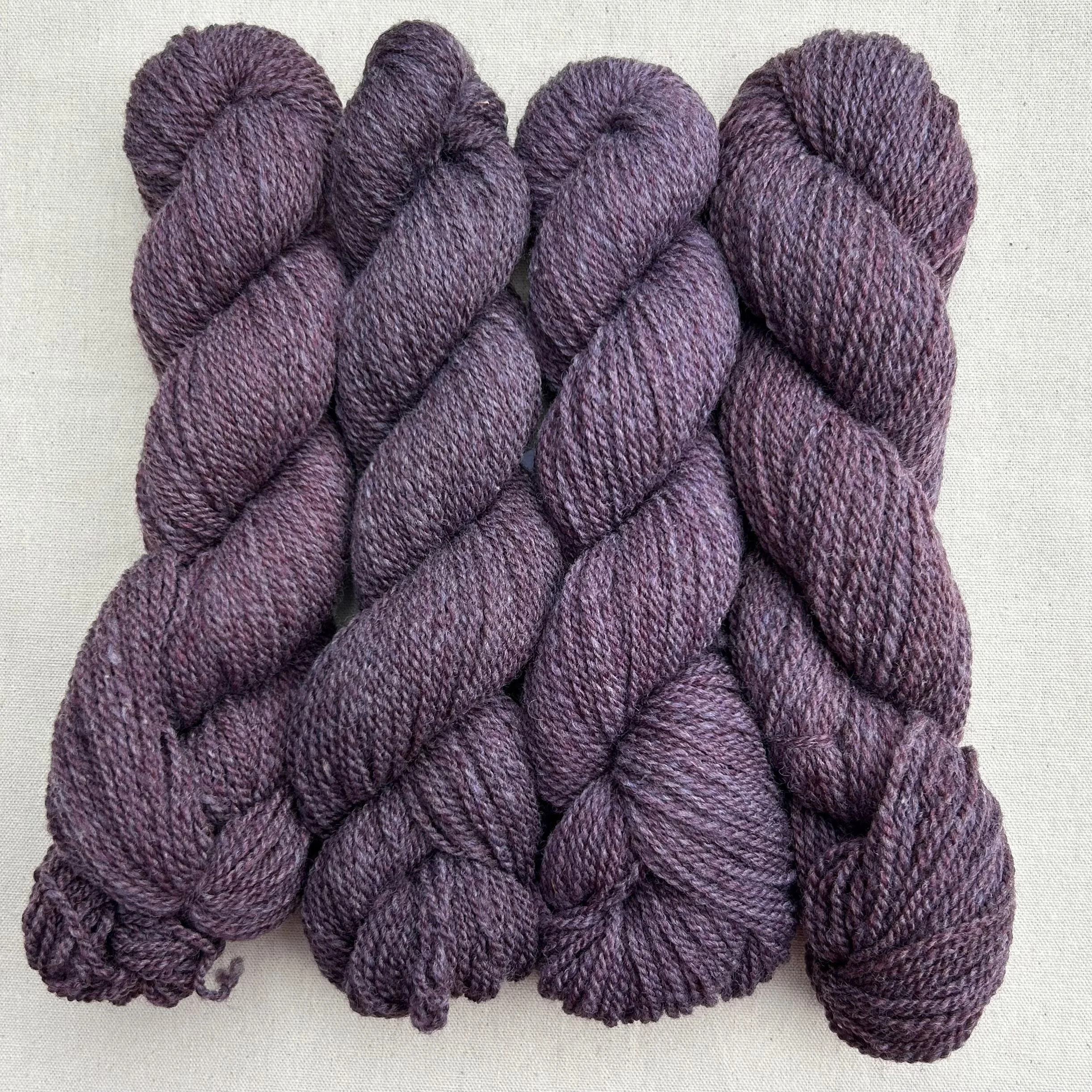 Blackberry Pie DK