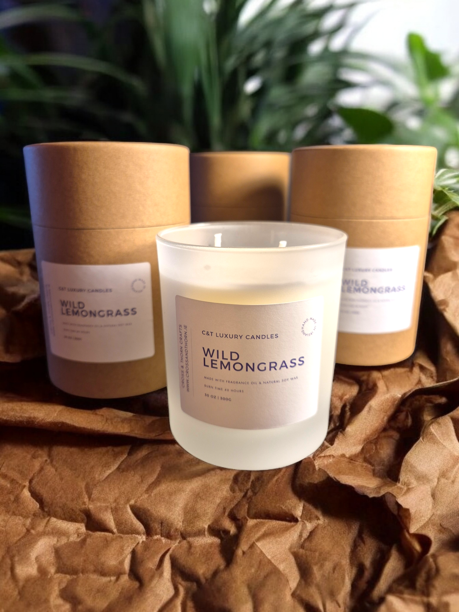 Wild Lemongrass 30cl Frosted Glass Scented Candle