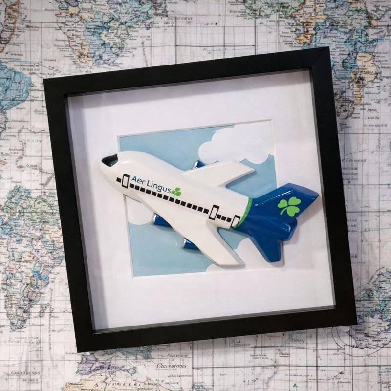 Aerlingus - New Livery - Black.jpeg