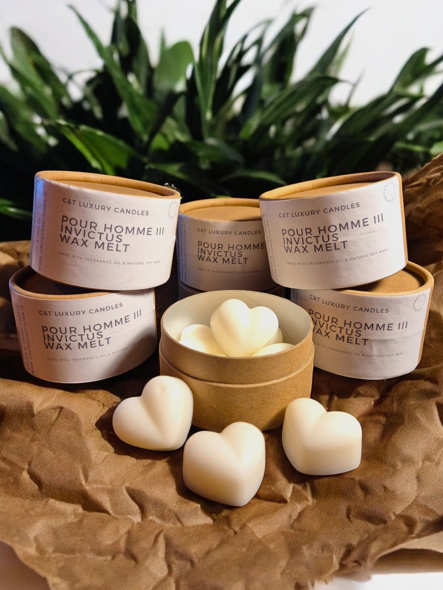 Pour Homme III Wax Melts.jpg