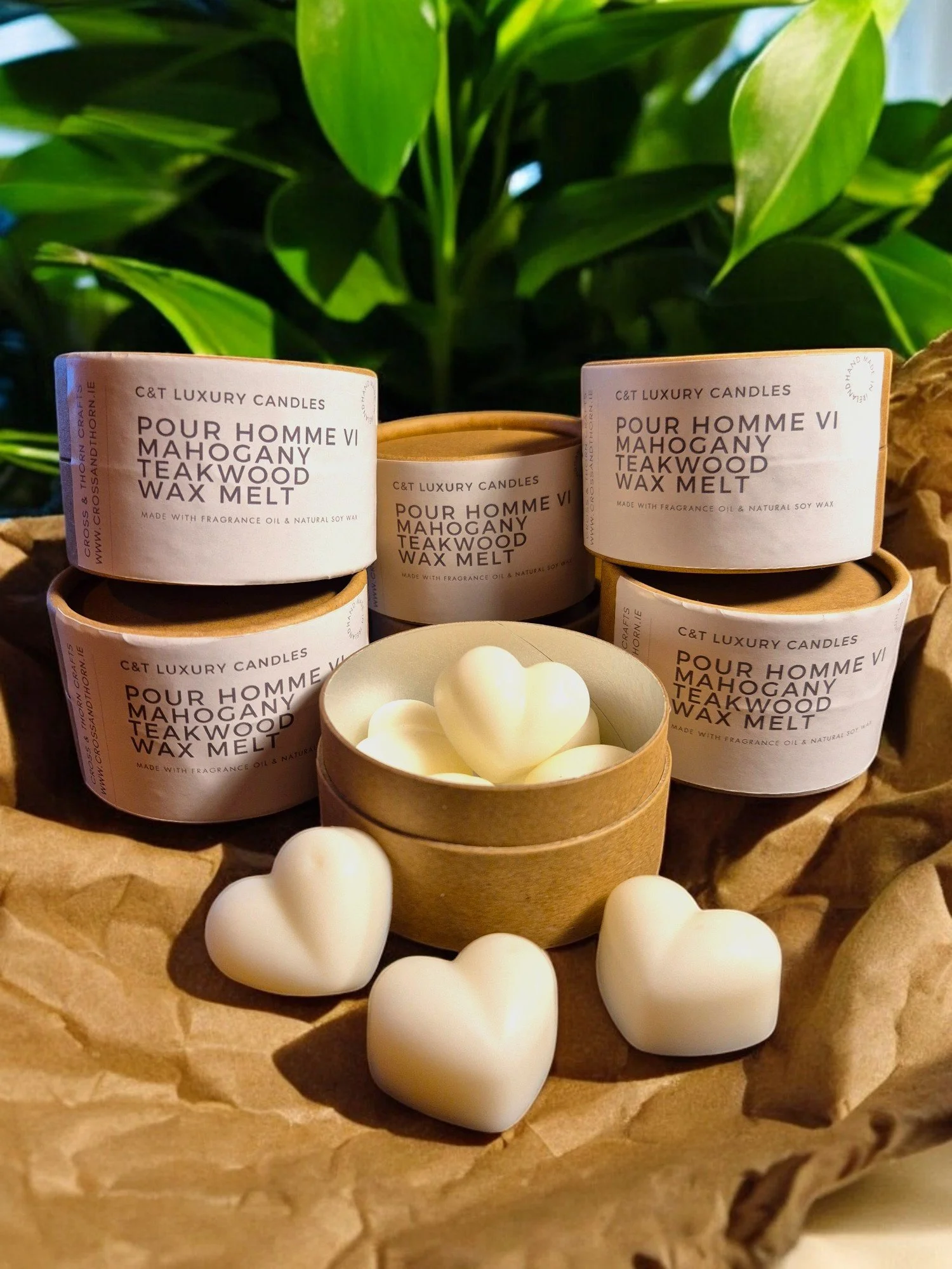 Pour Homme VI Wax Melts.jpg