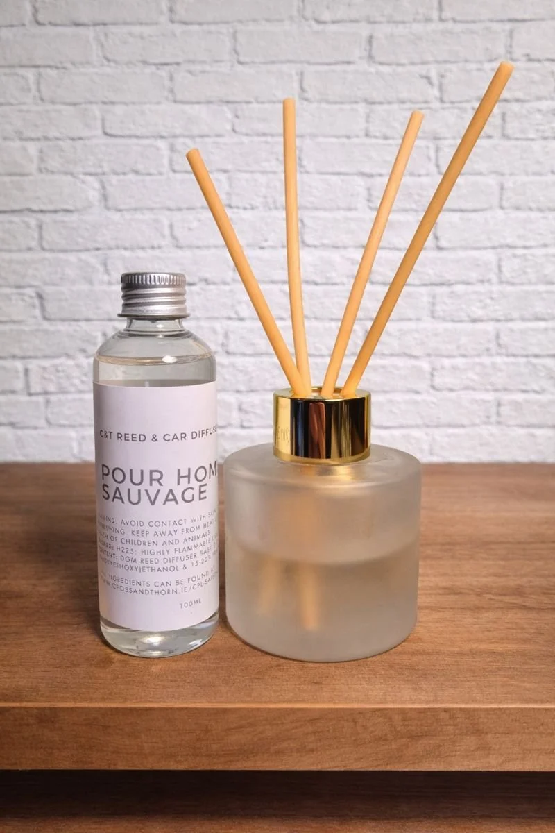 Pour Homme V - Sauvage.jpeg