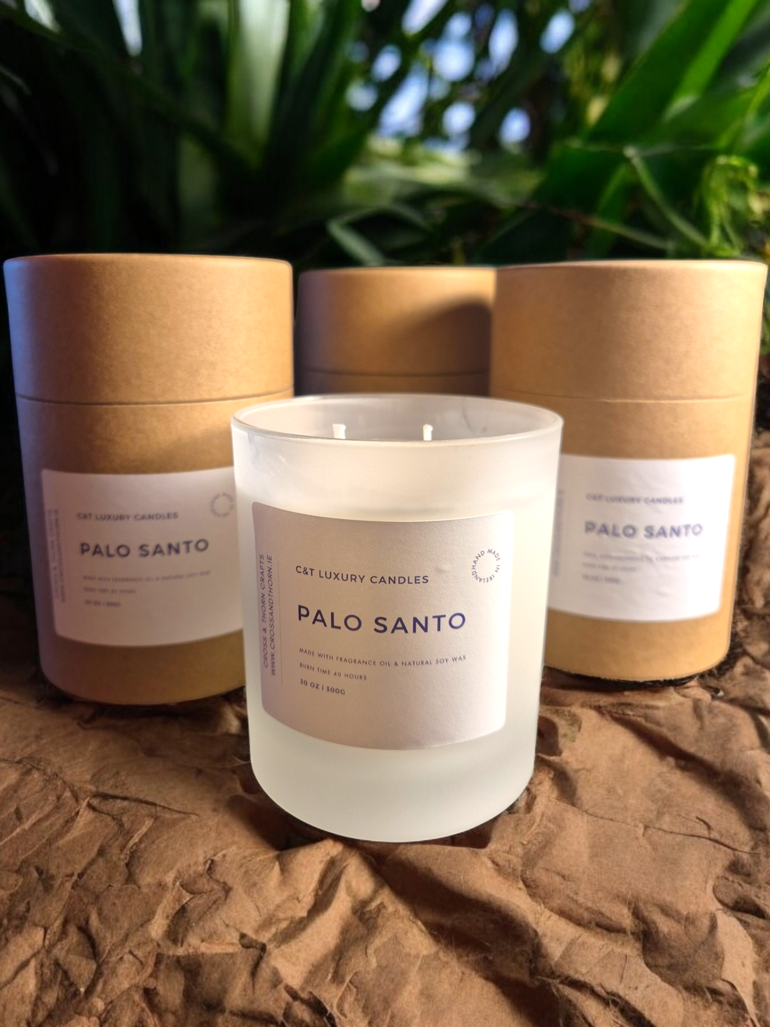 Palo Santo Candle.png