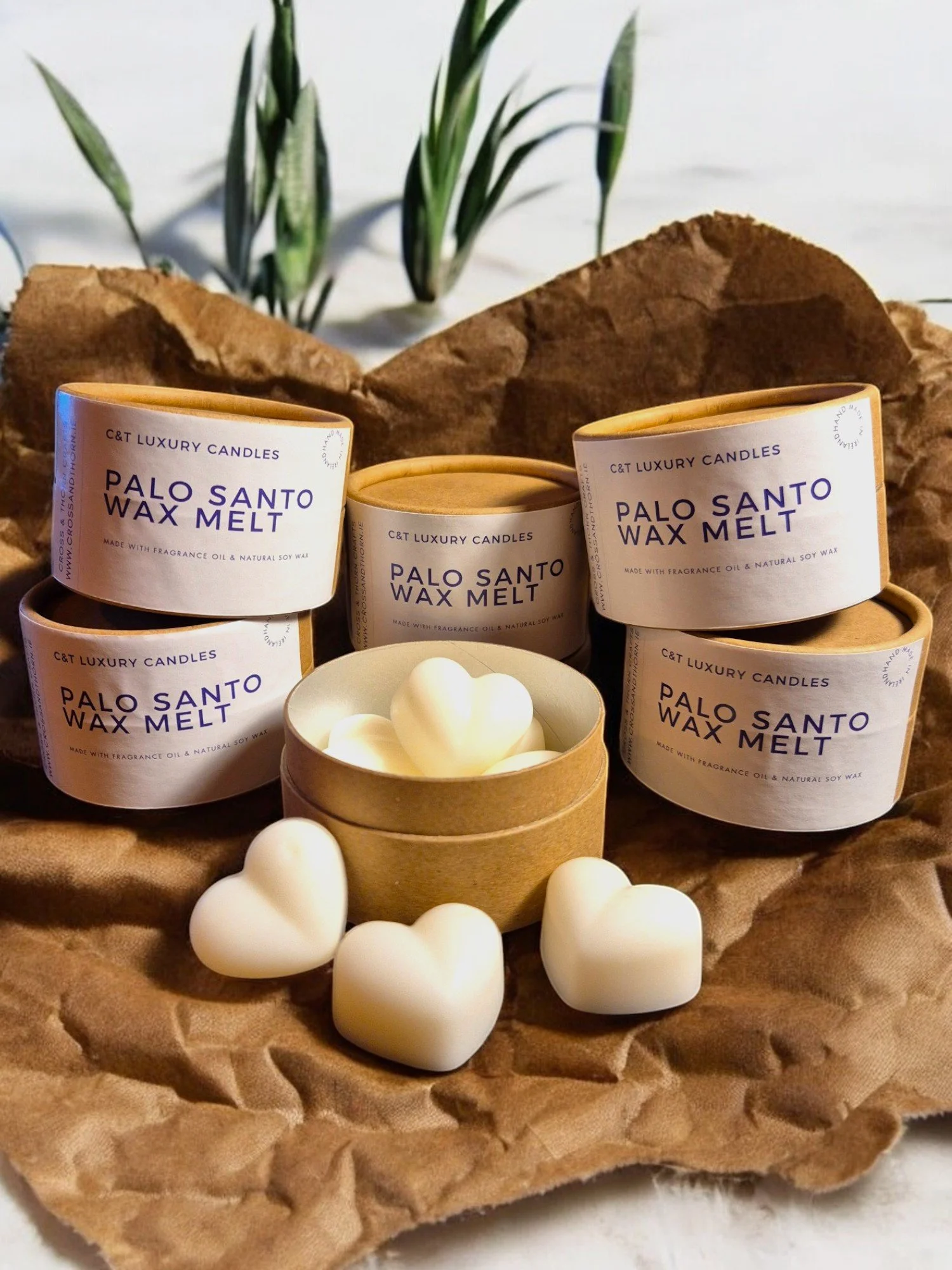 Palo Santo Wax Melts.jpg