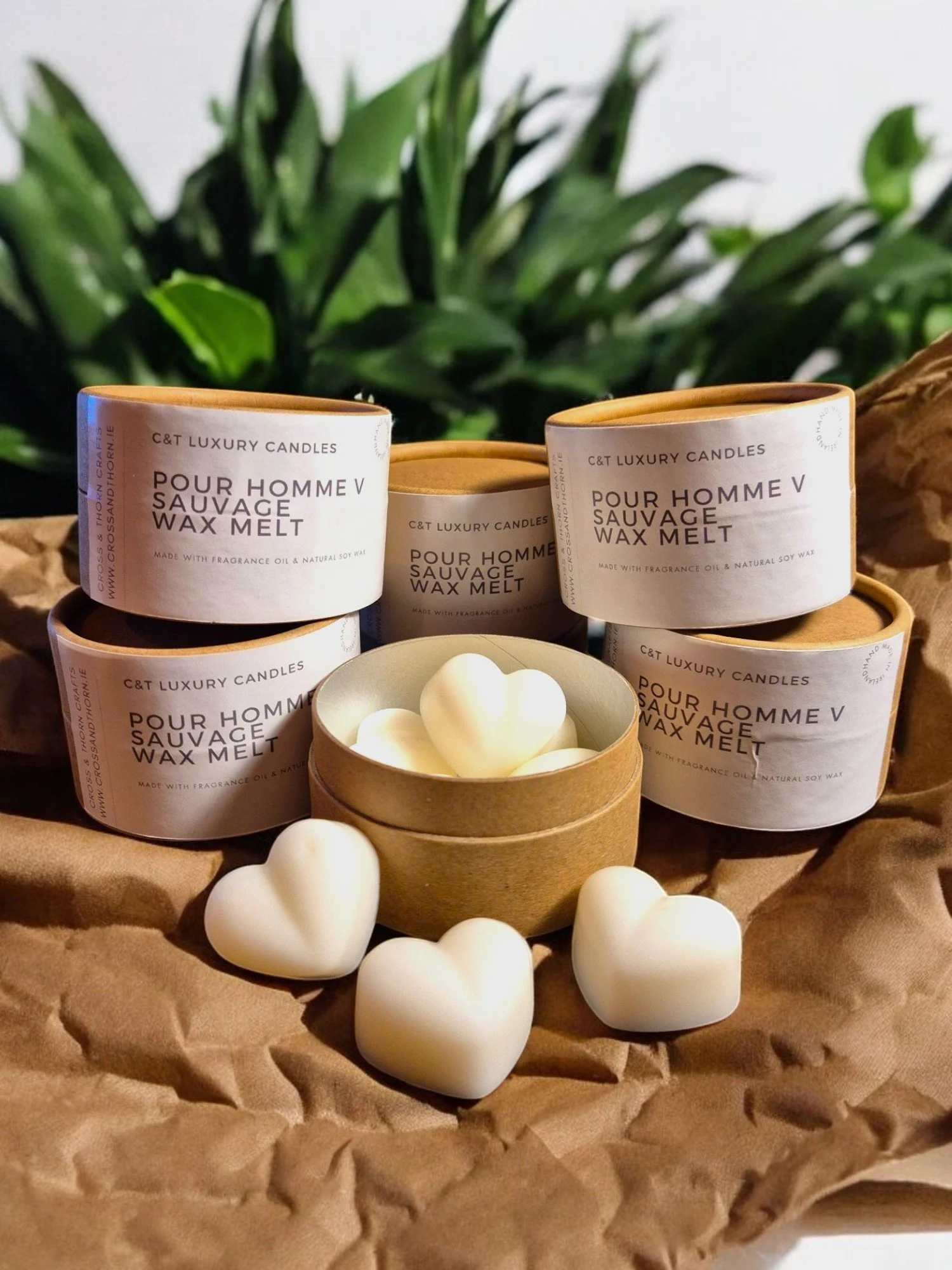 Pour Homme V (Sauvage) Wax Melt Box